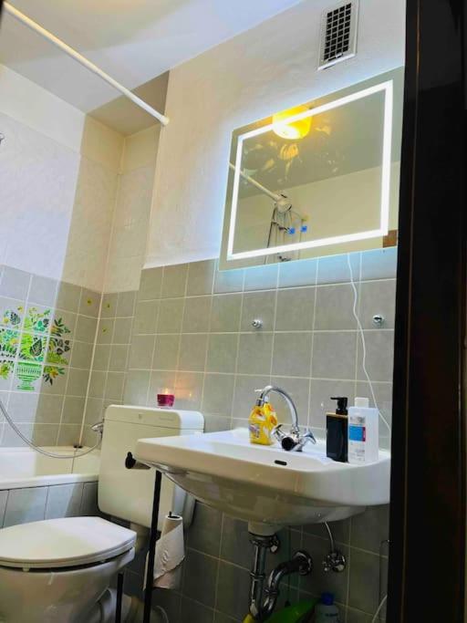 Blühendes Balkonwohnung mit Traumaussicht