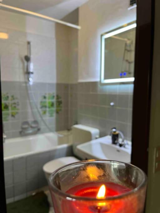 Blühendes Balkonwohnung mit Traumaussicht