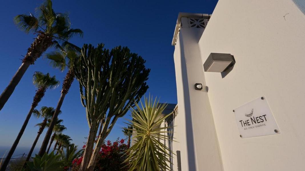The Nest Tenerife