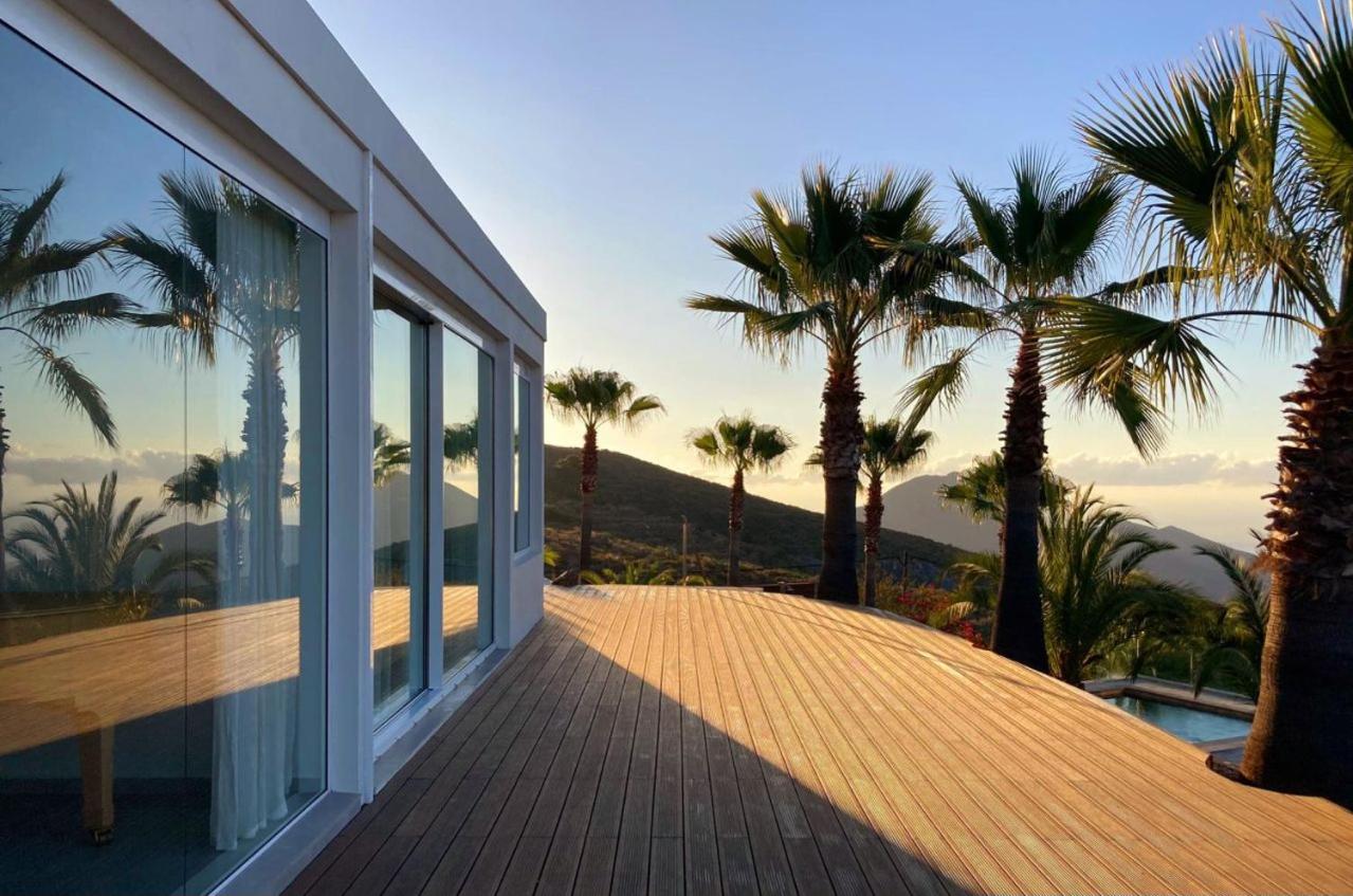 The Nest Tenerife