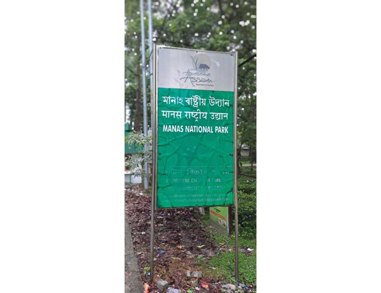 Myna Eco Camp, Raghabbil, Assam view 4