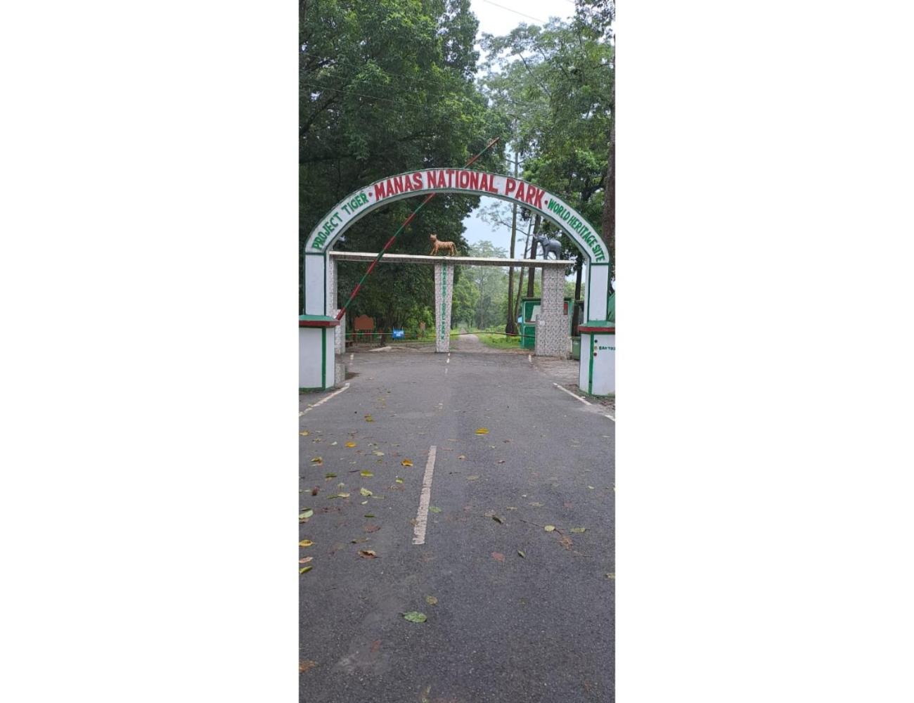 Photo 19