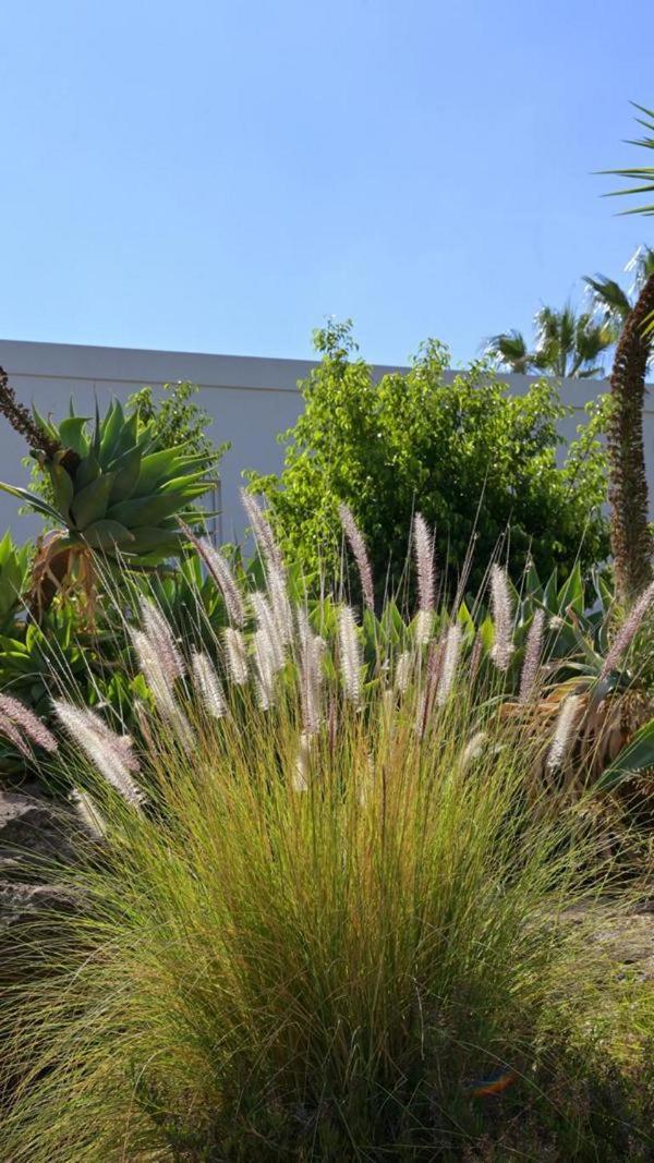 The Nest Tenerife