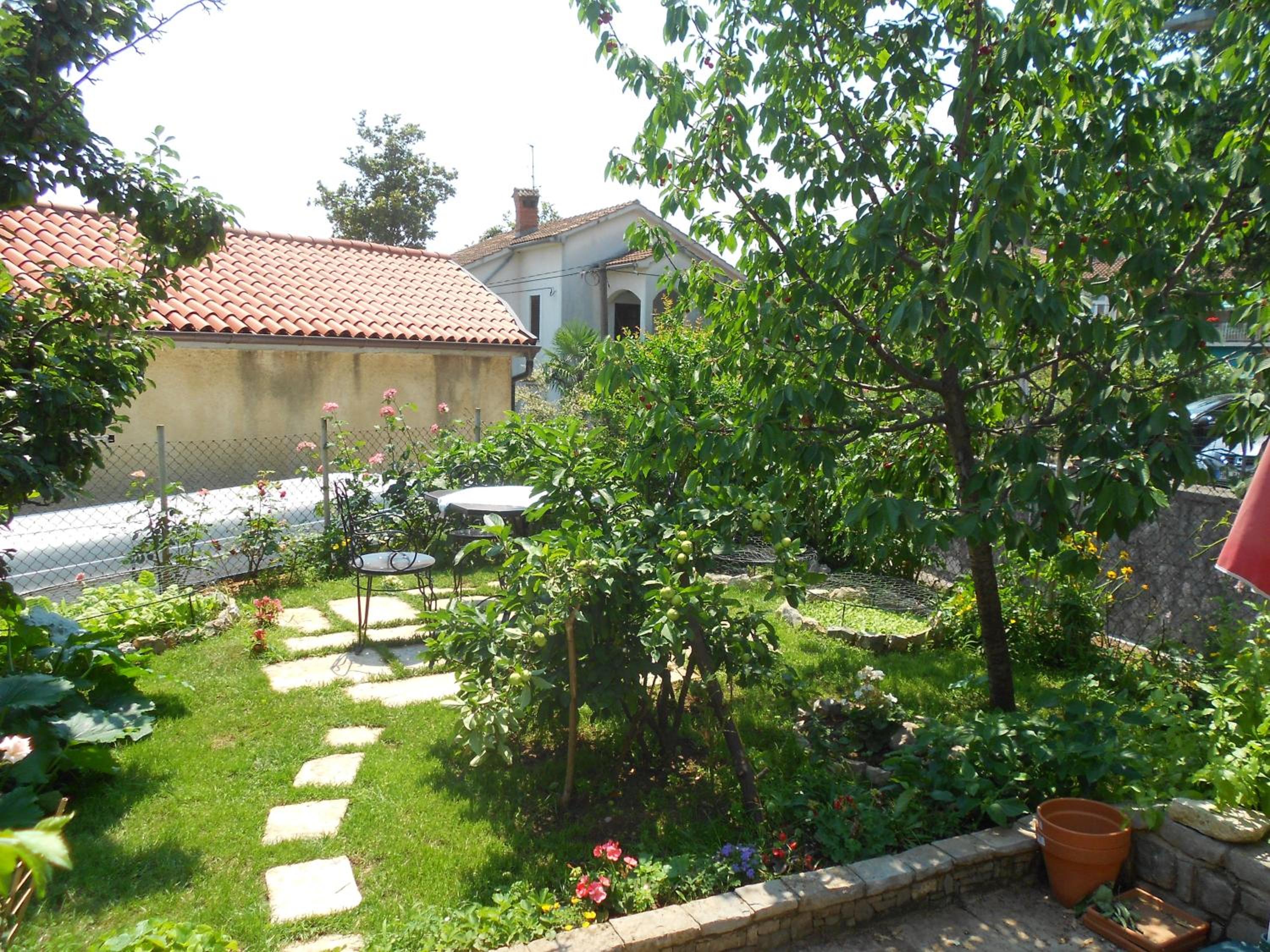 Photo 27