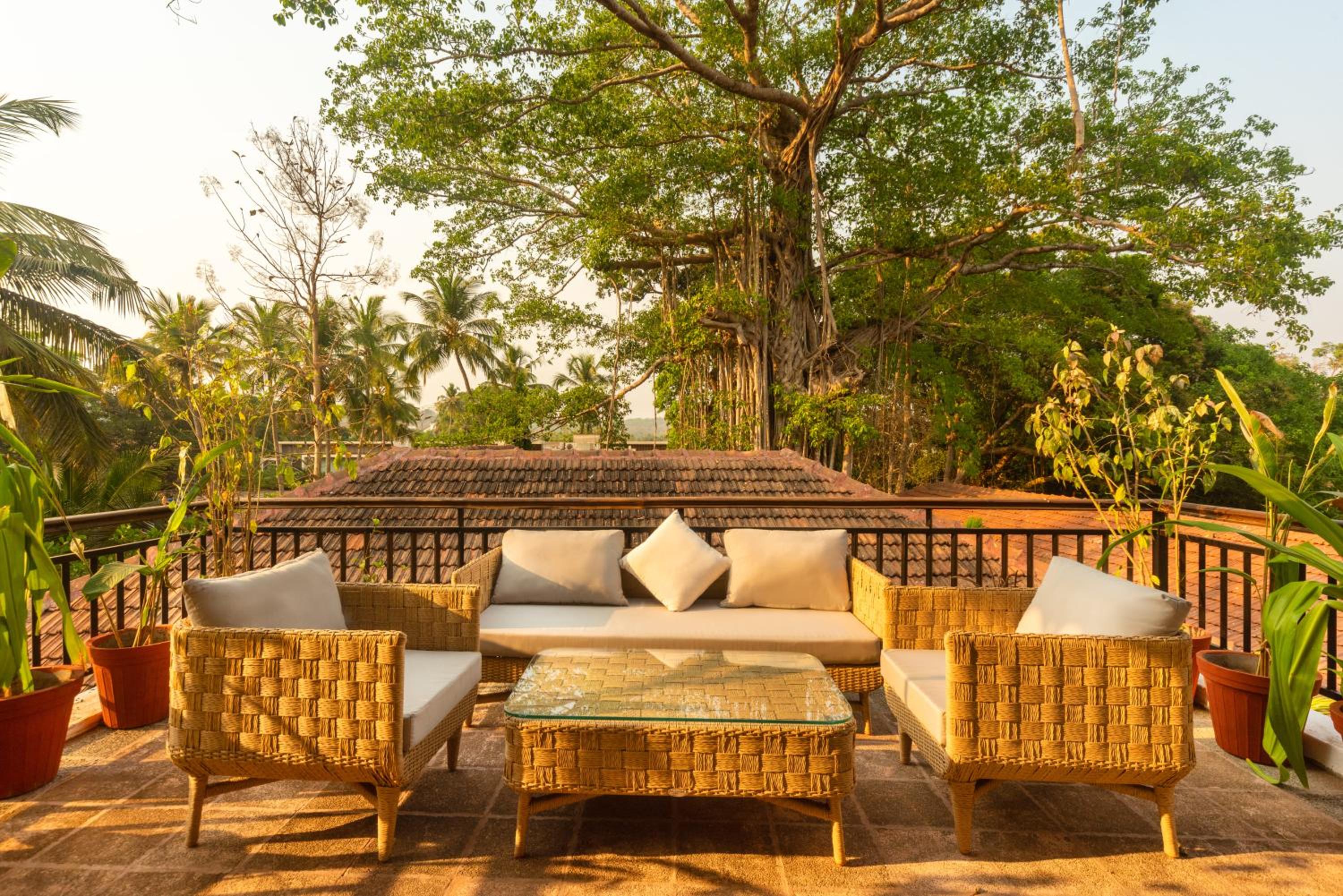 balance & terrace