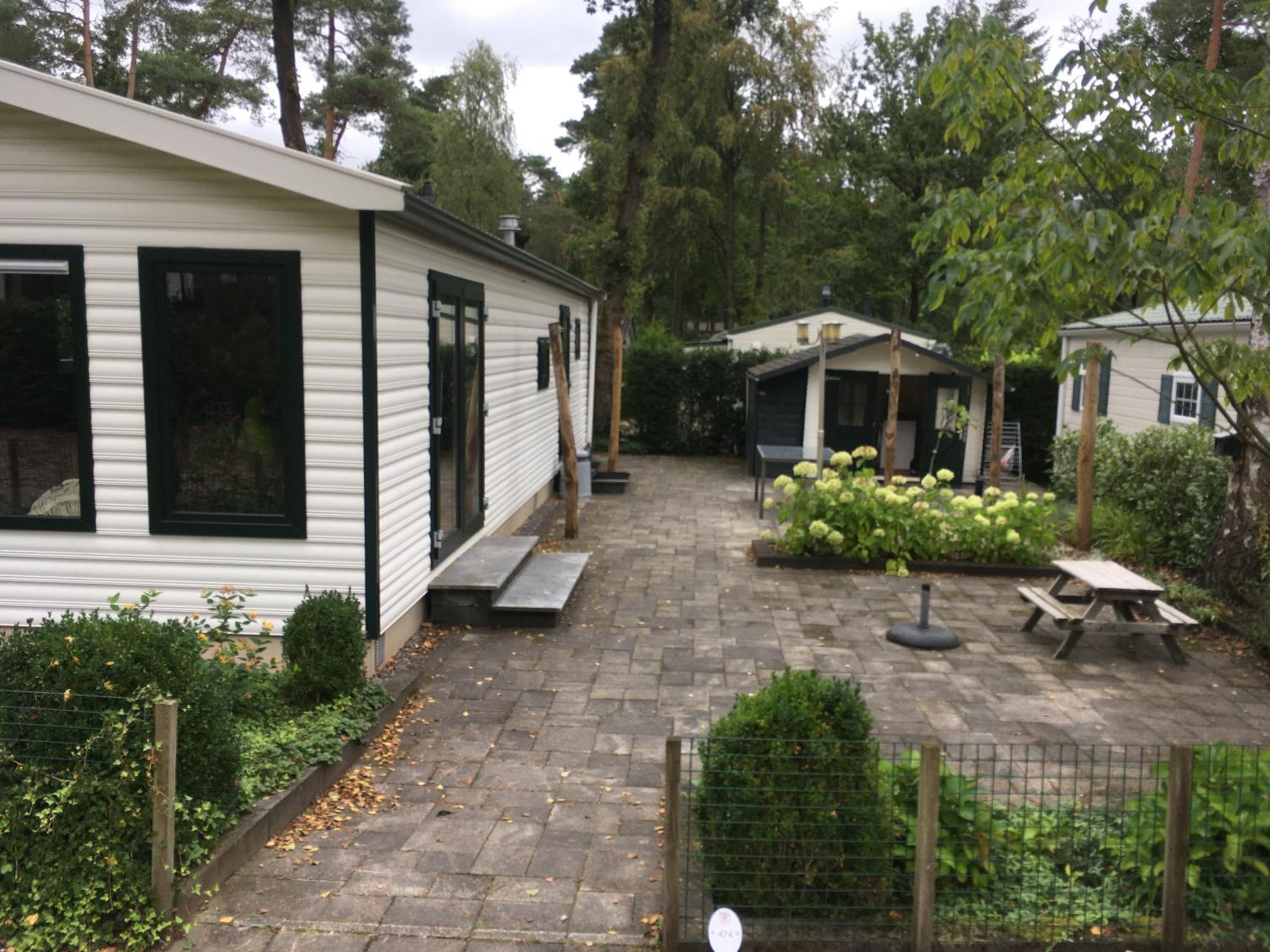 Forest Family 6 persoons op 5 sterren park view 3