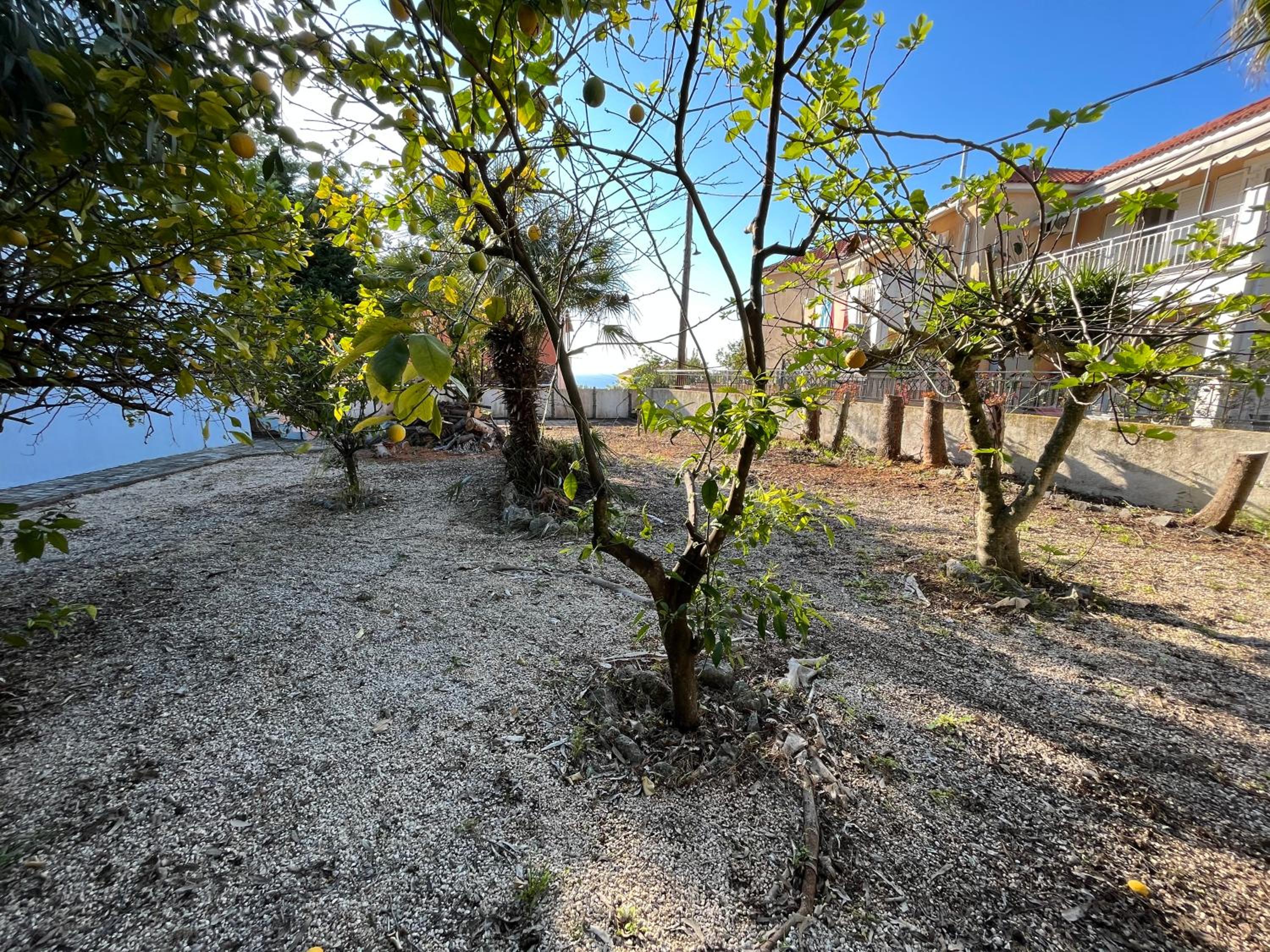 Villa Savvas in Pessada