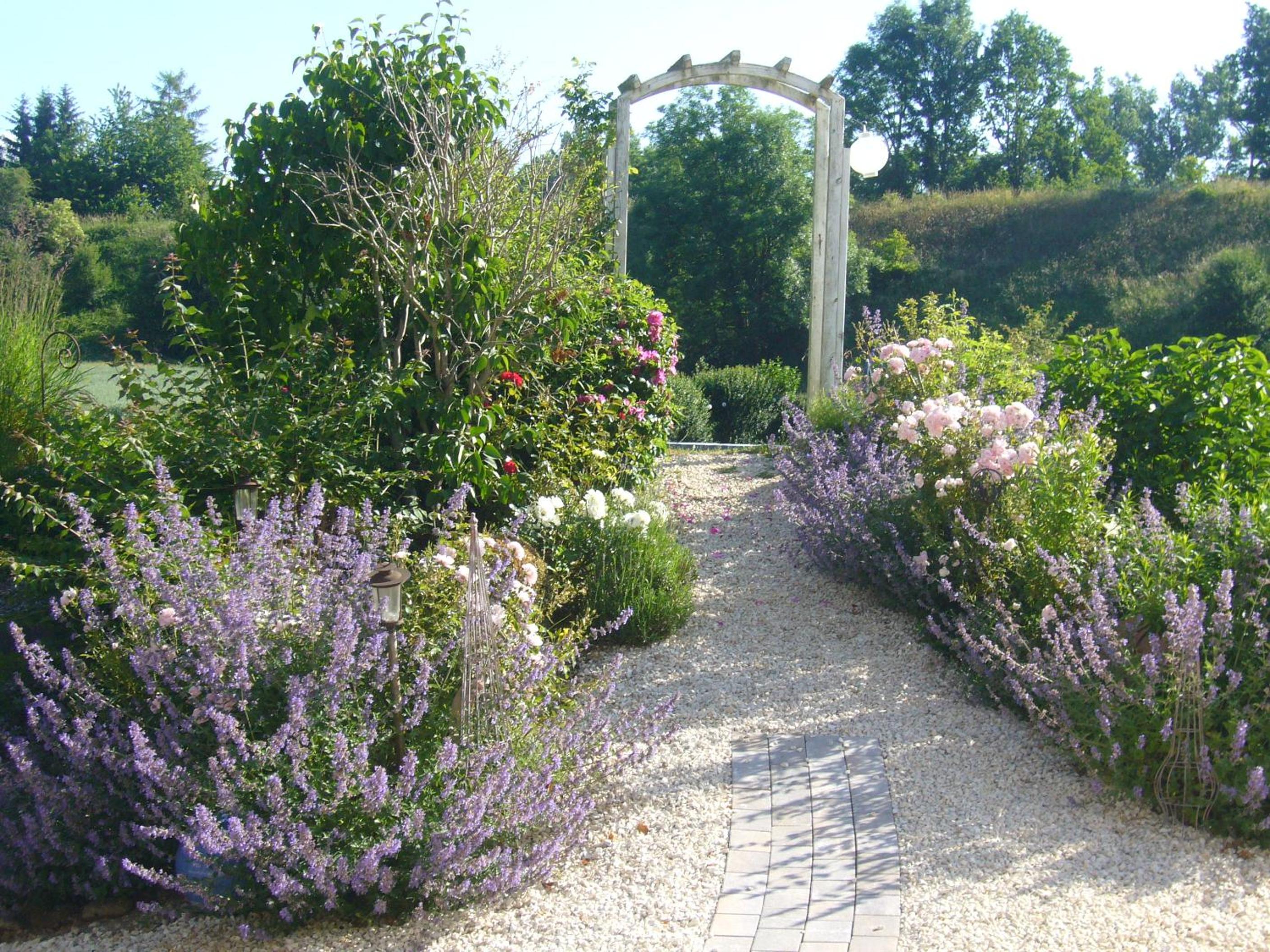 Photo 47