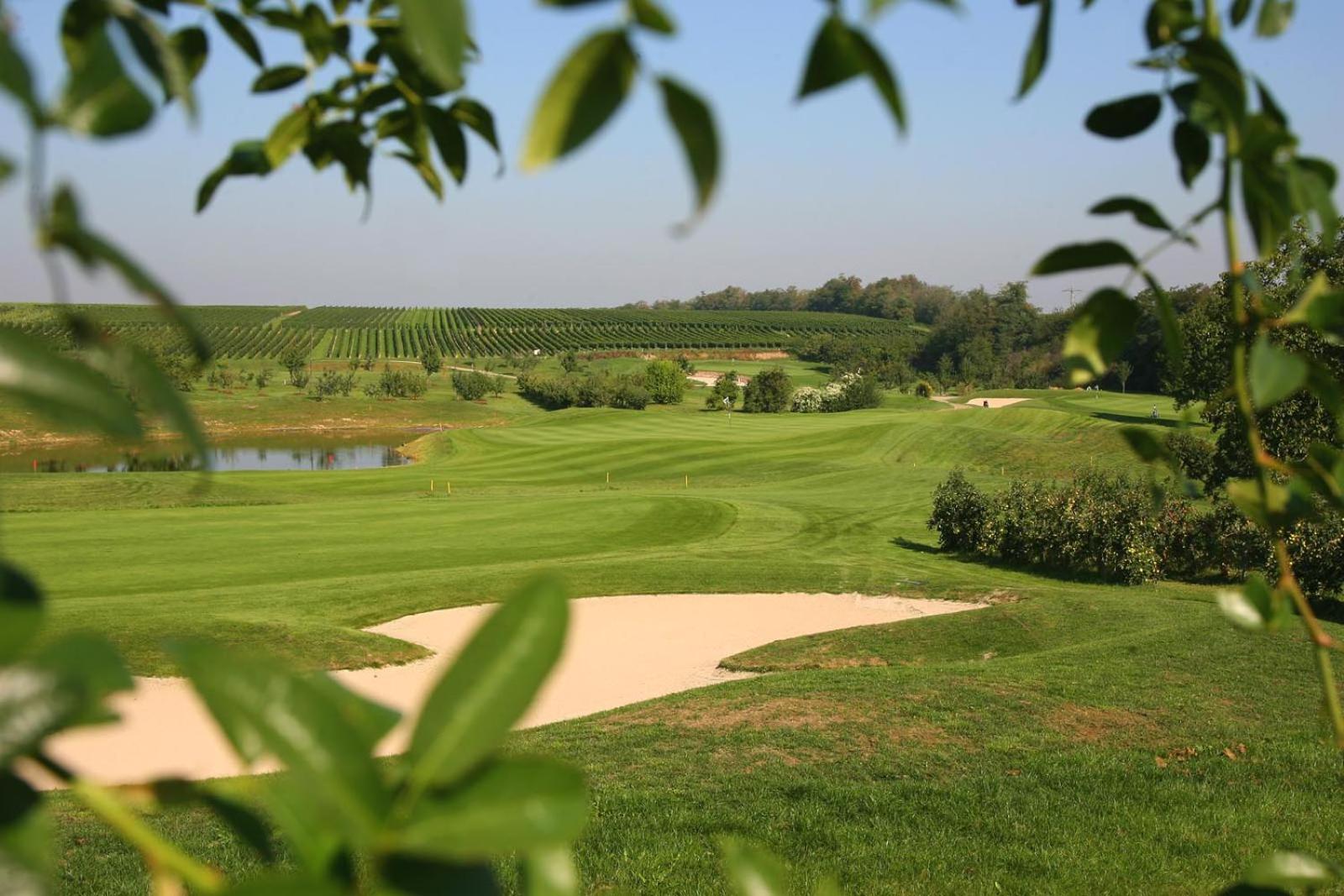 Morio en Friedelsheim — activities & amenities