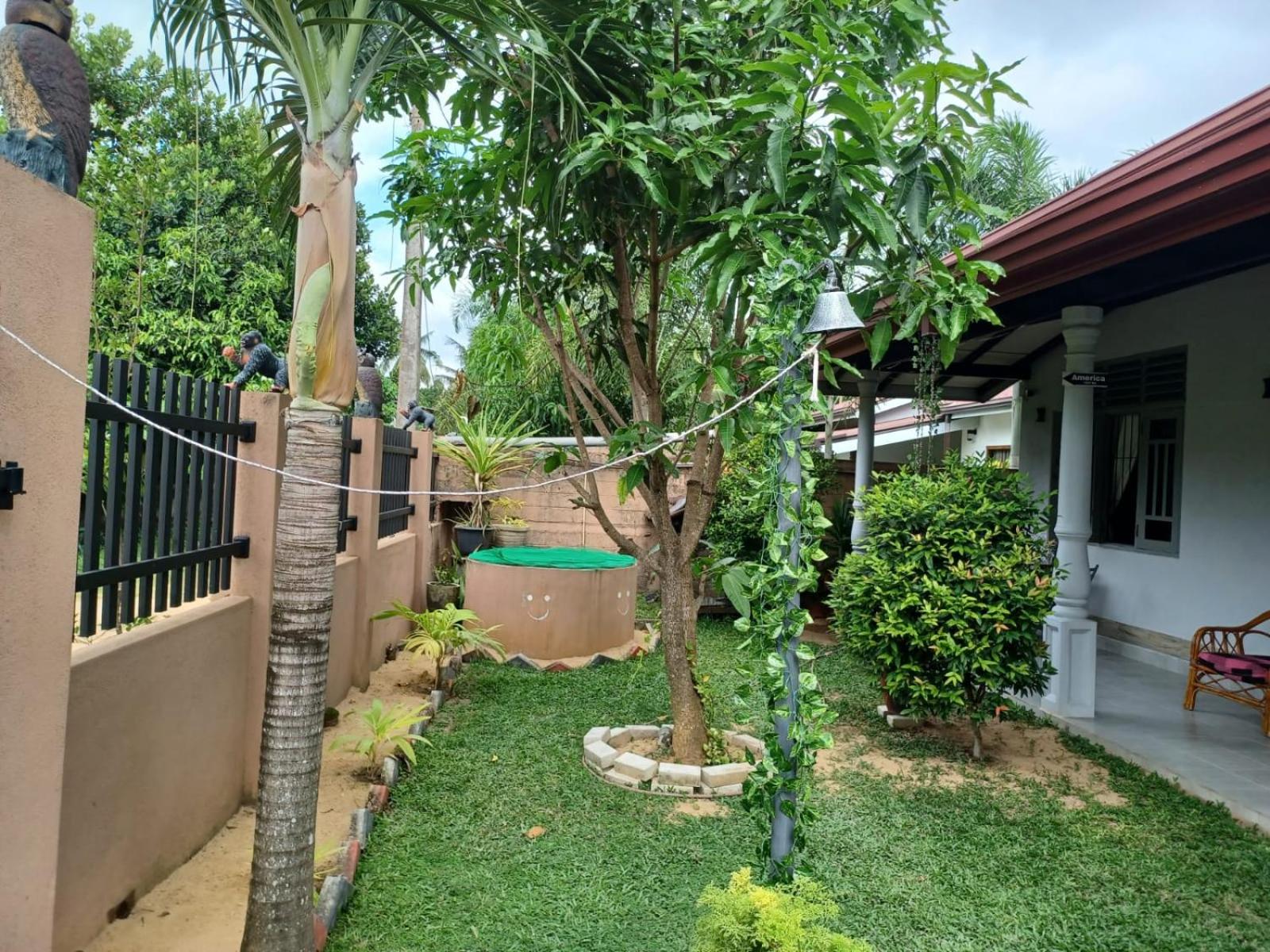 Photo 19