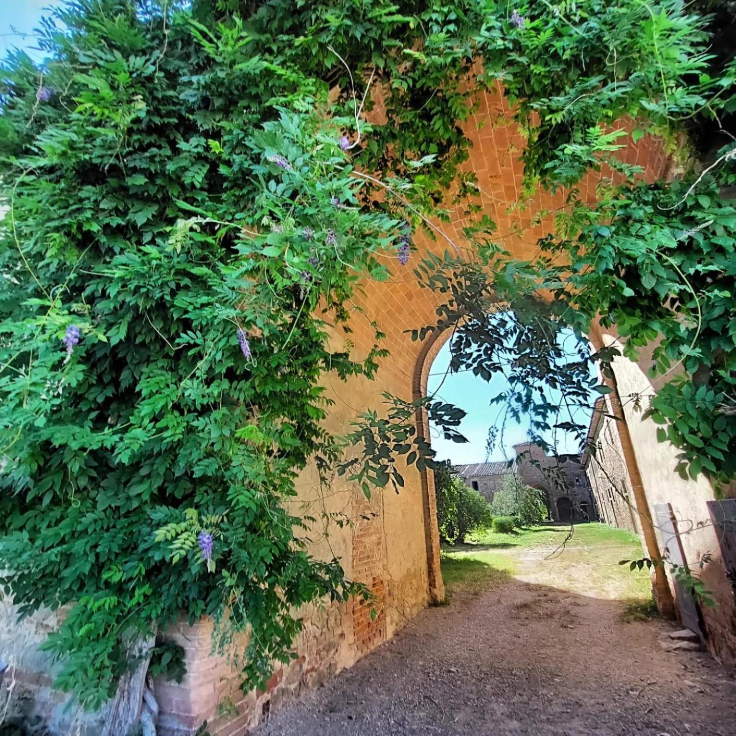 Tenuta La Fratta
