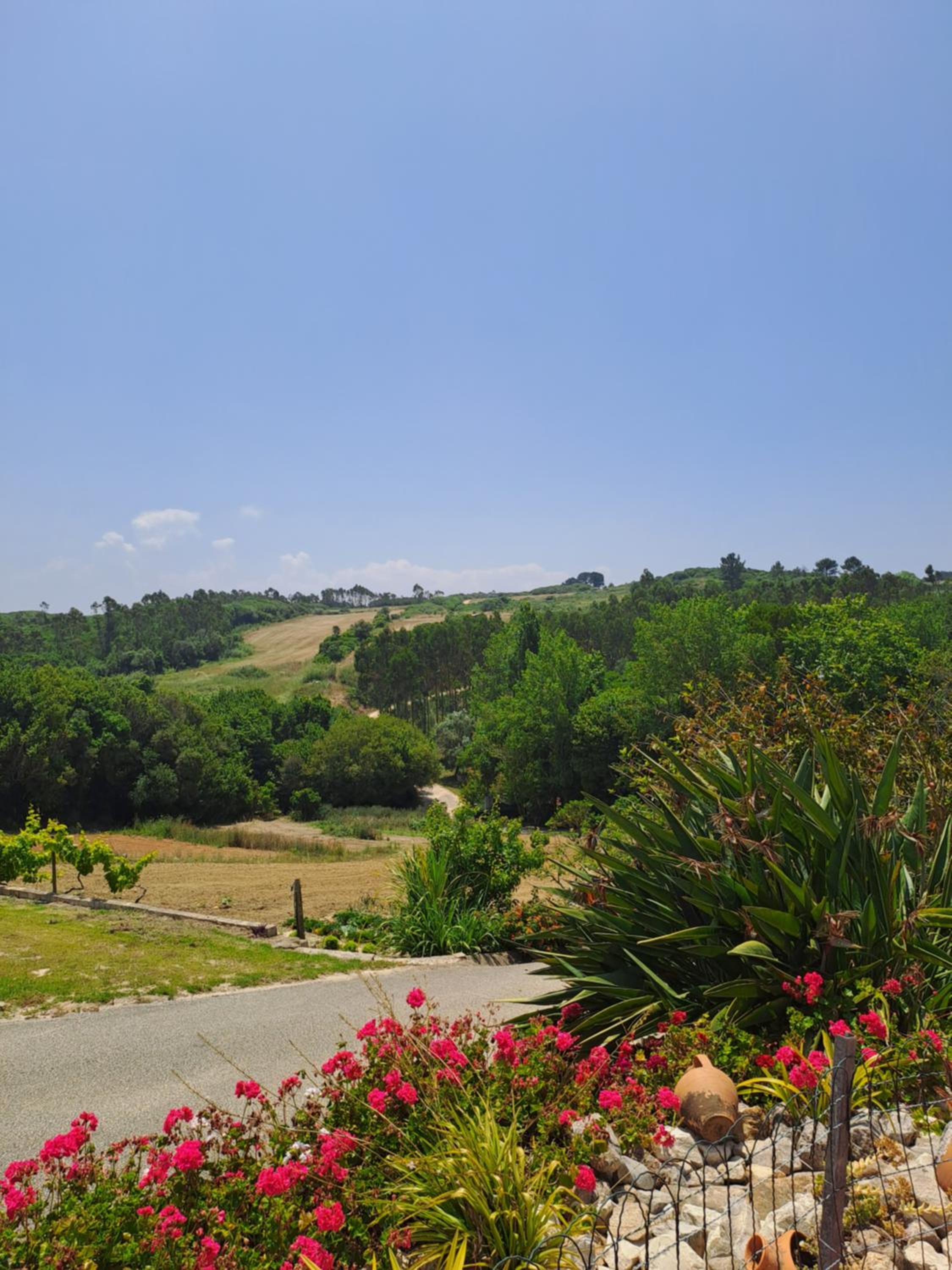 Quinta da Fonte - Casa da Charrete view 3