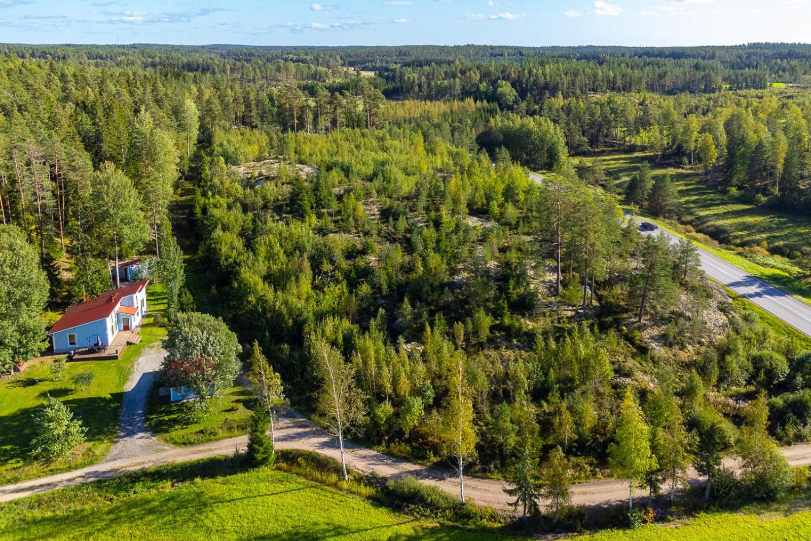 Tammikallio
