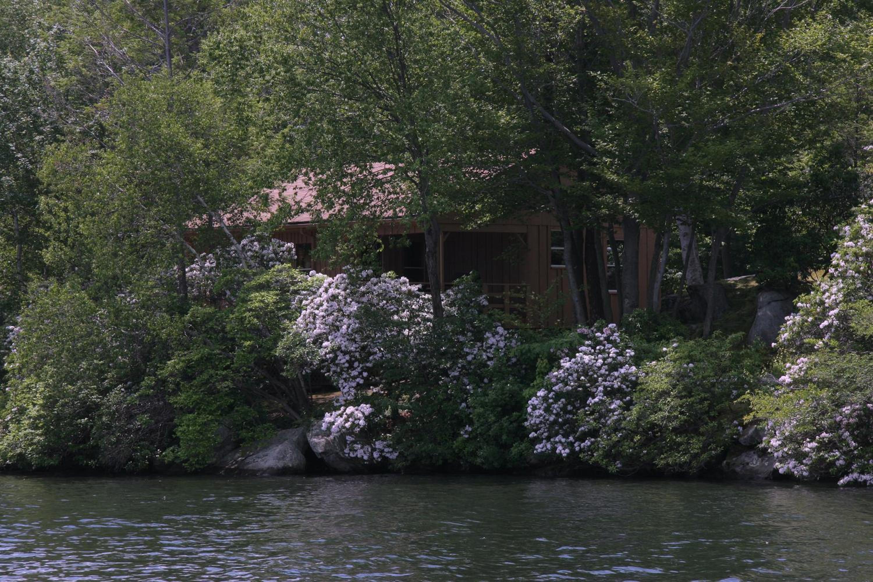Cabin Chalet - Breathtaking Cabin in Laurel Island view 4