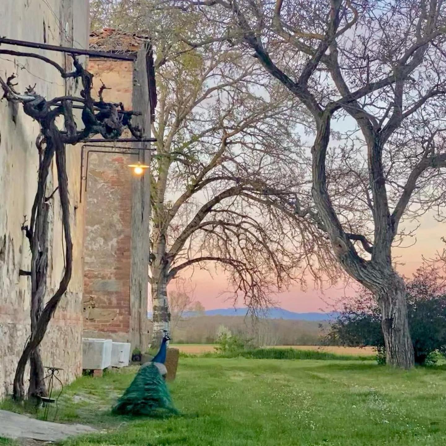 Tenuta La Fratta