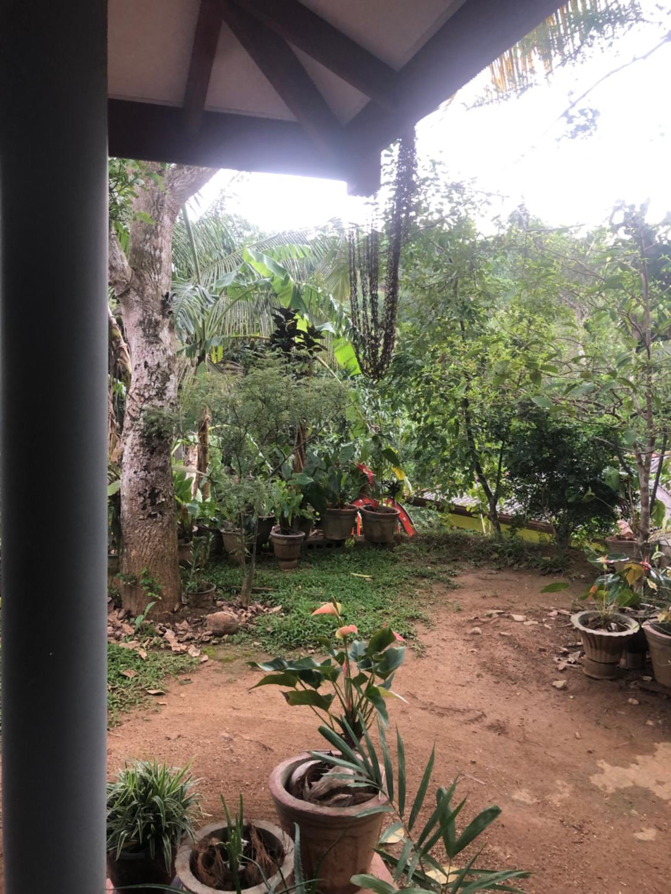BuildZone Home Stay view 2