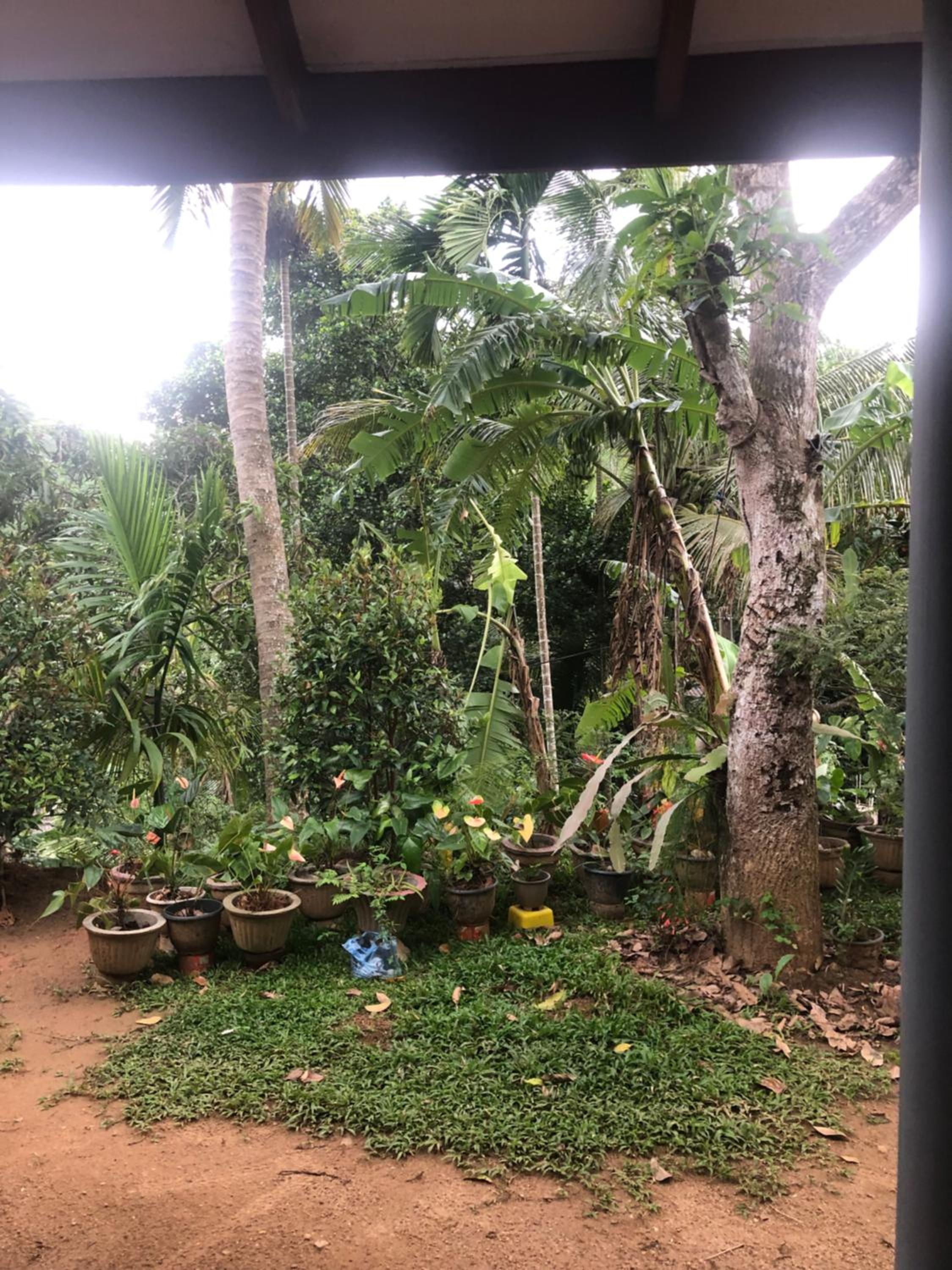 BuildZone Home Stay view 3