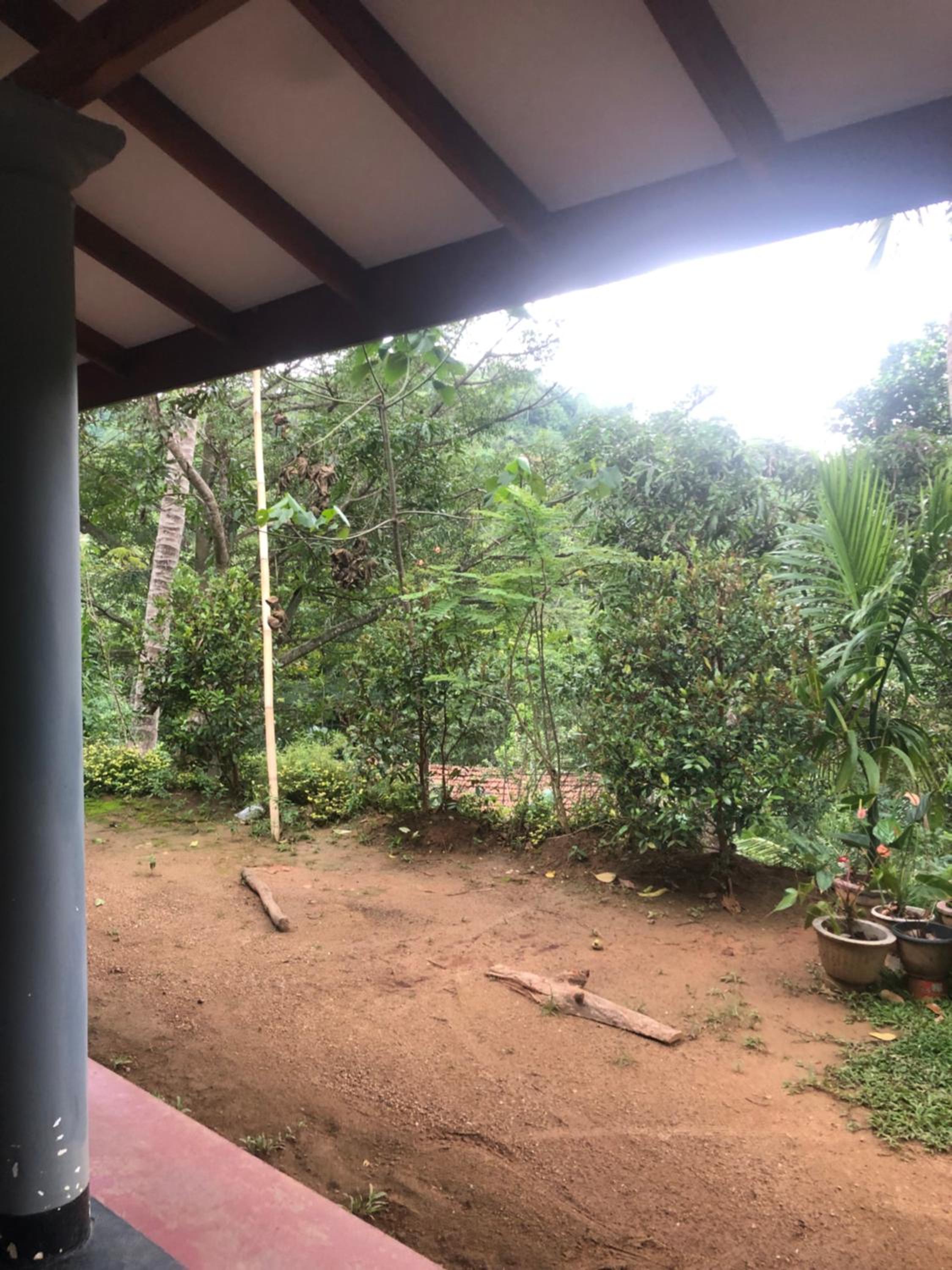 BuildZone Home Stay view 4