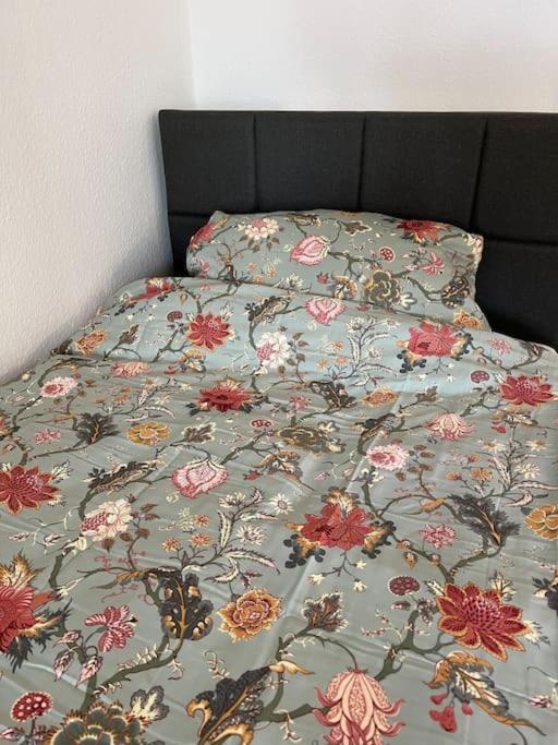 City Appartement direkt am Schloss!