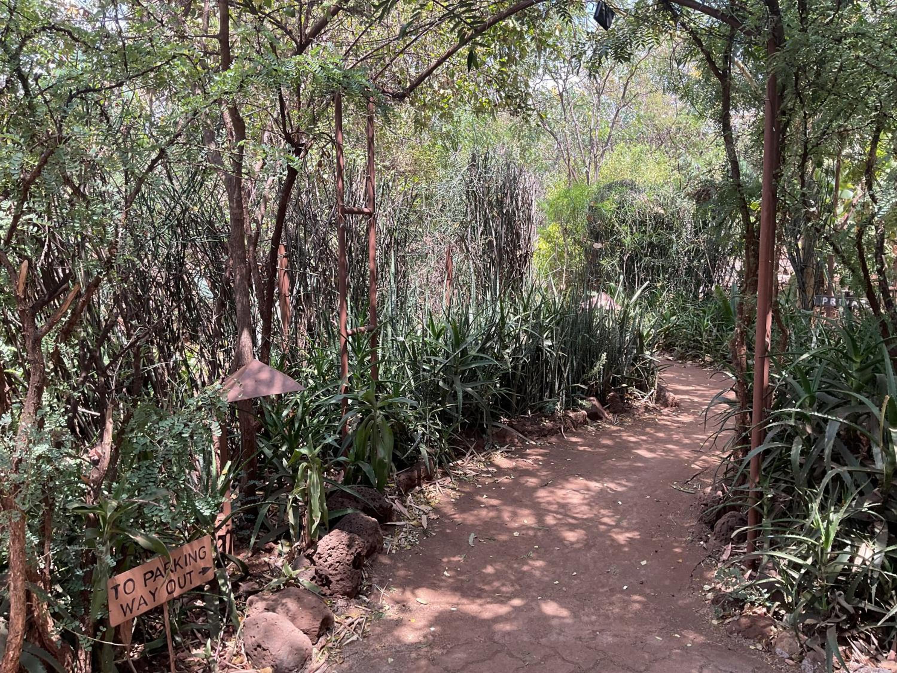 Ikweta Safari Camp
