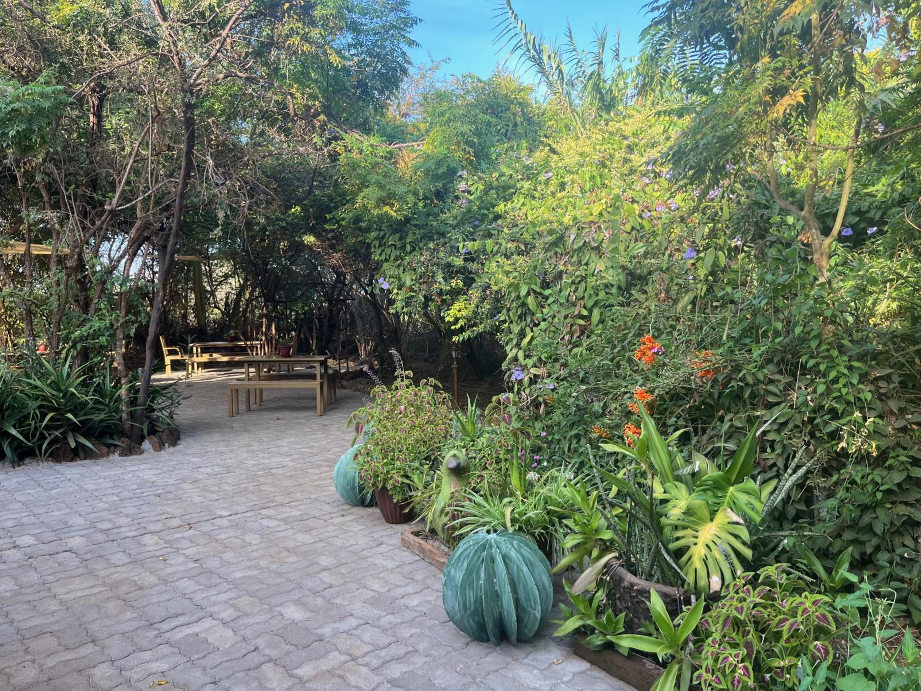 Ikweta Safari Camp