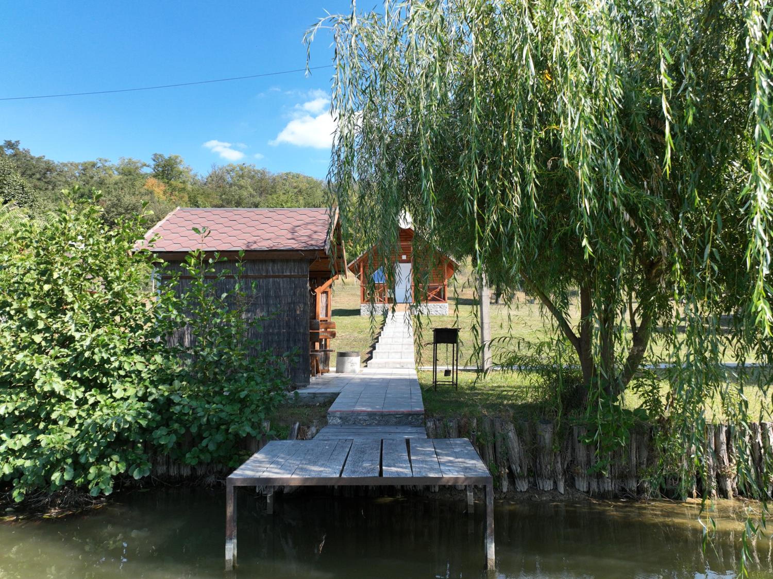 Photo 38