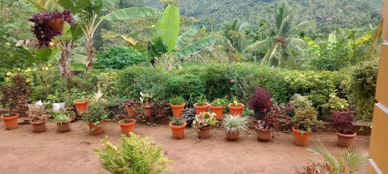 VANASREE FARMSTAY