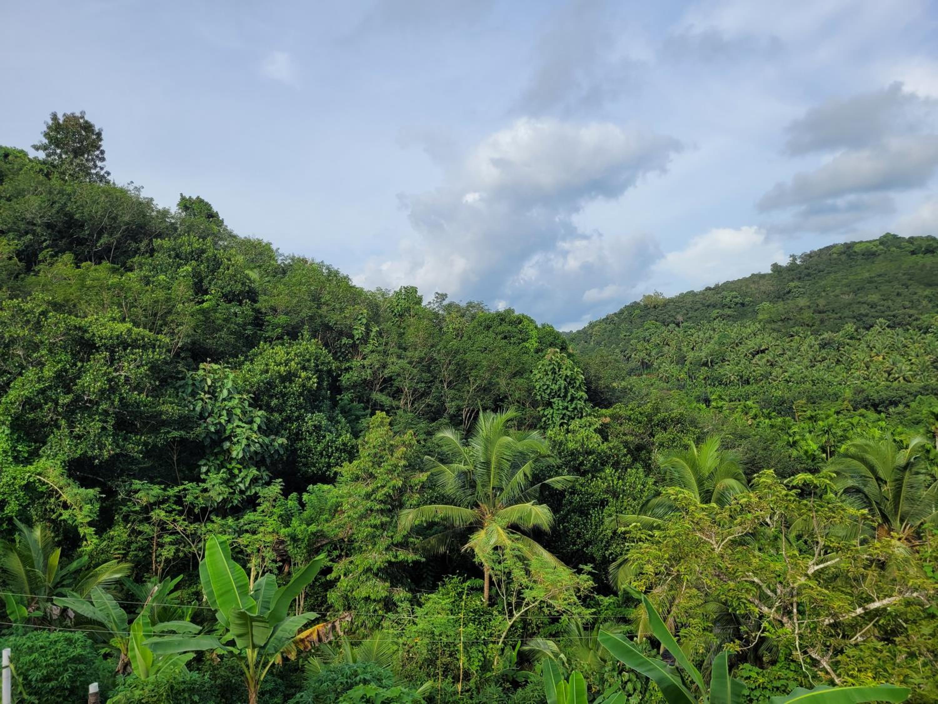 VANASREE FARMSTAY