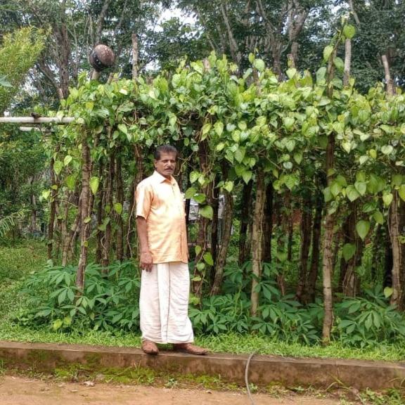 VANASREE FARMSTAY