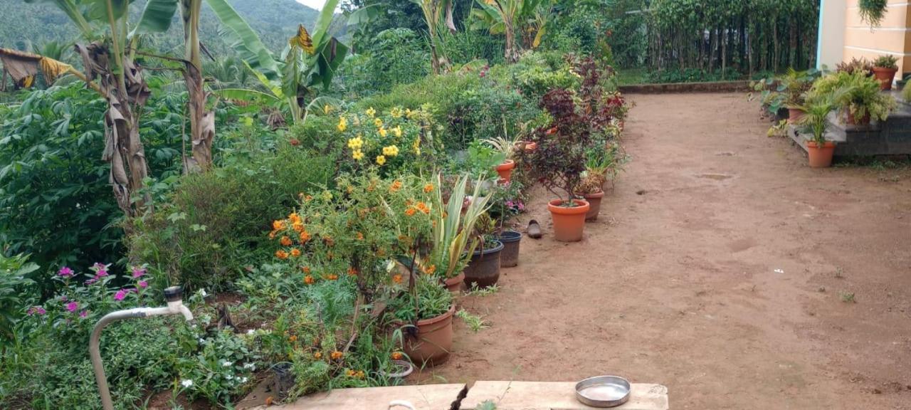 VANASREE FARMSTAY