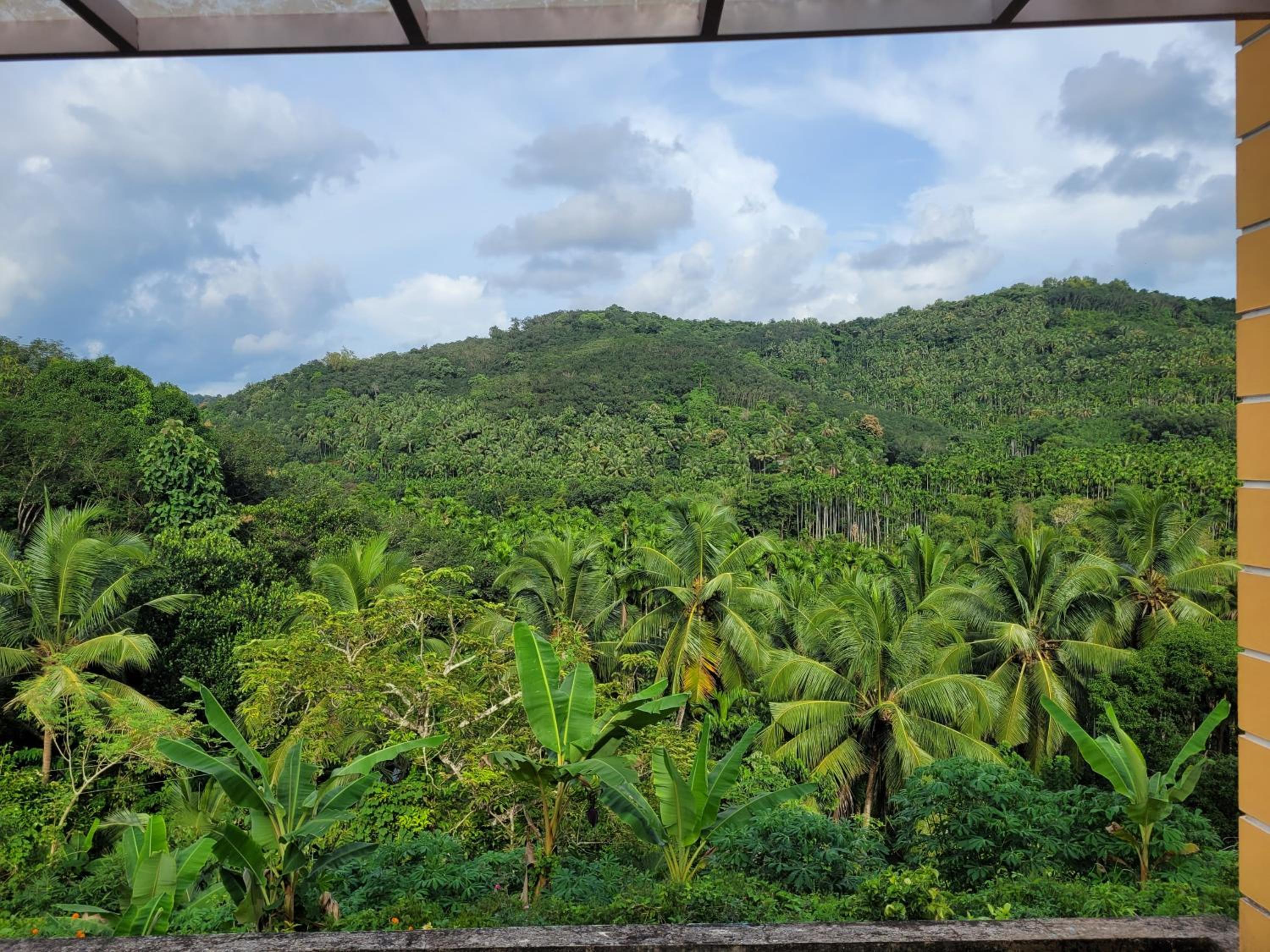 VANASREE FARMSTAY