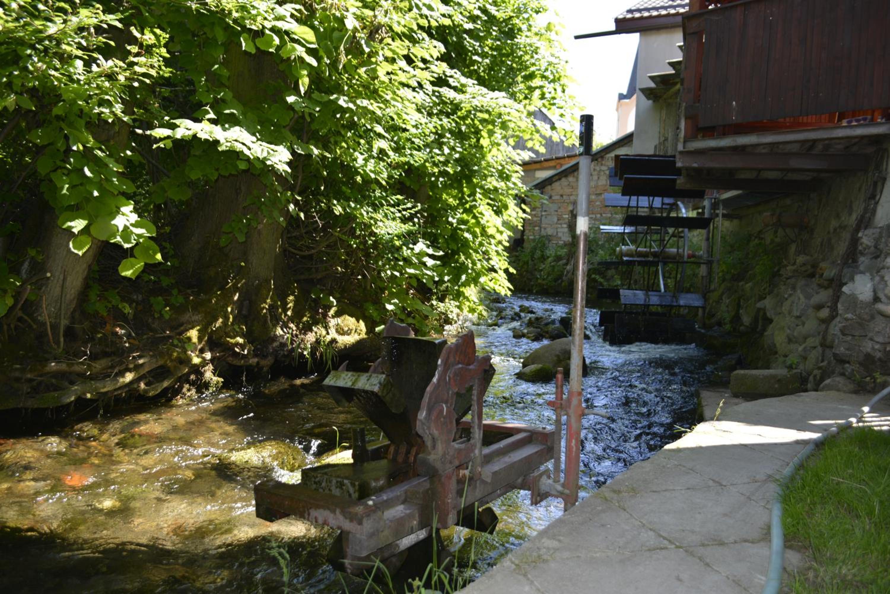 Photo 23
