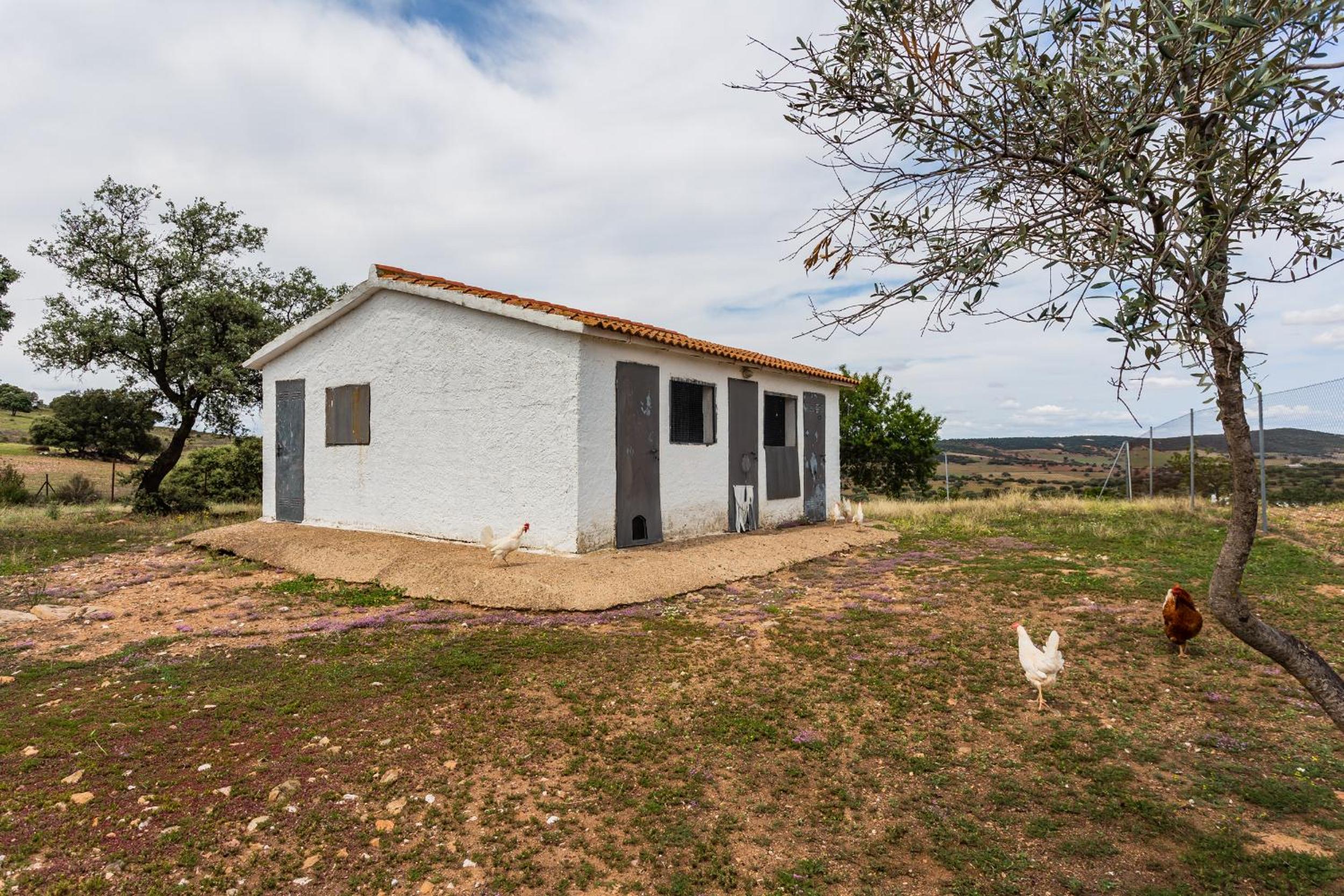 Casa Rural Finca Las Picazas