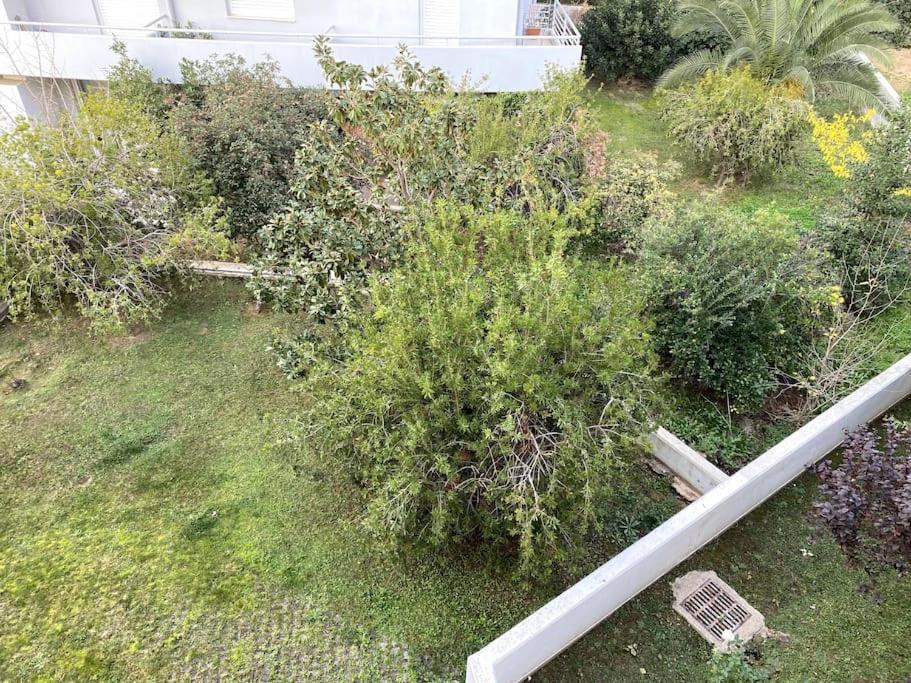 Spacious and Sunkissed 3BR & 2 Bathrooms Apartment