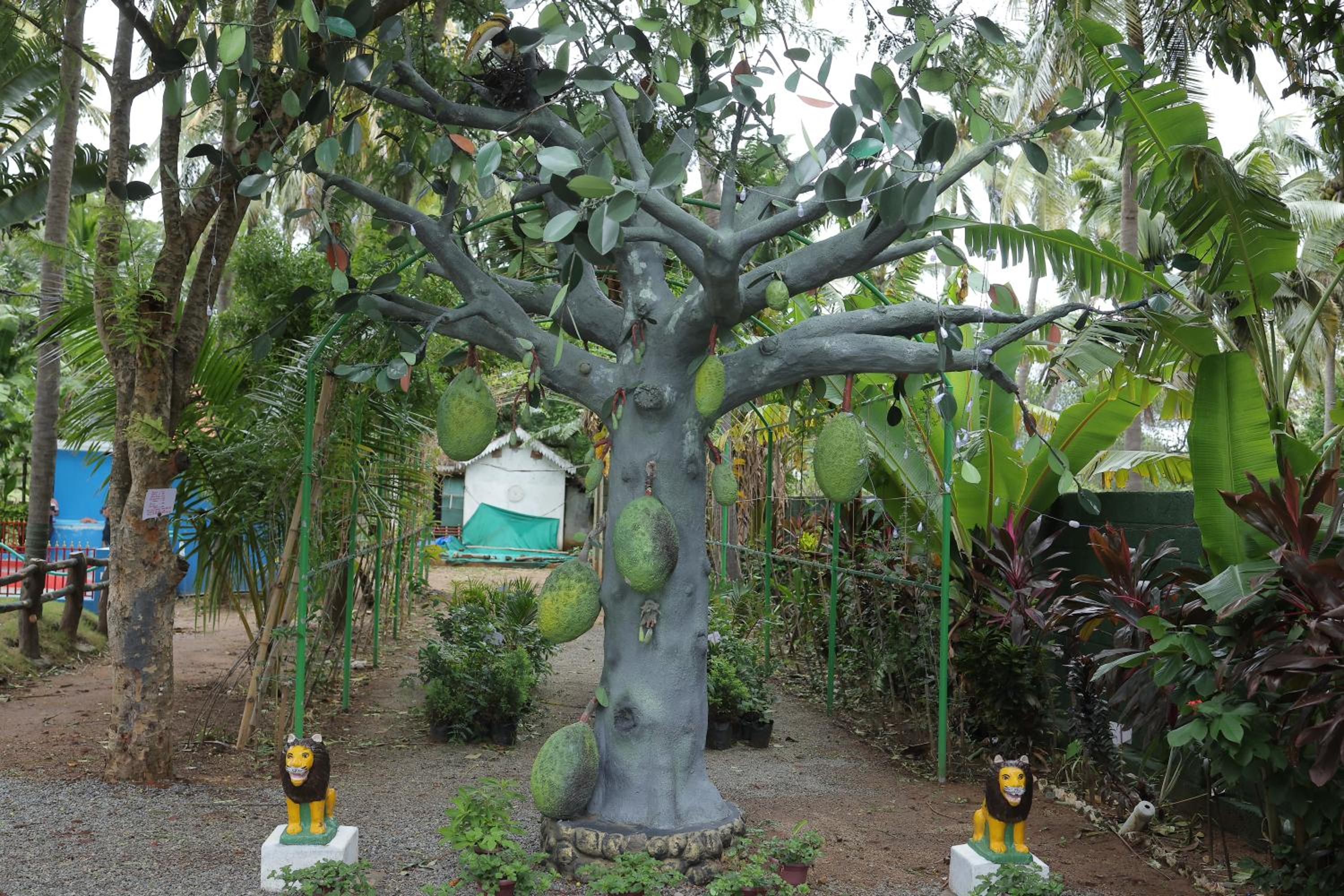 Kuttralam Resorts