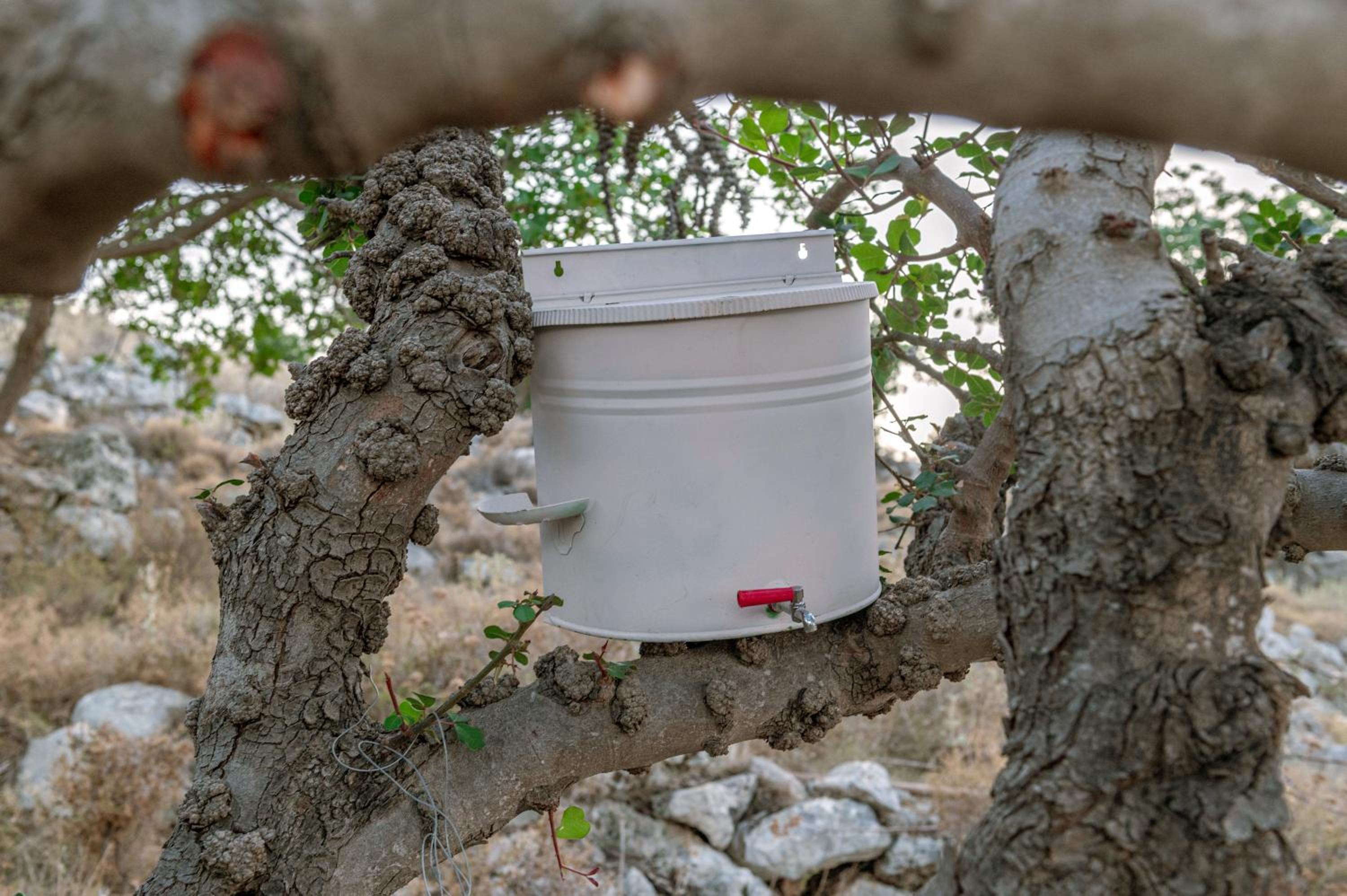 other