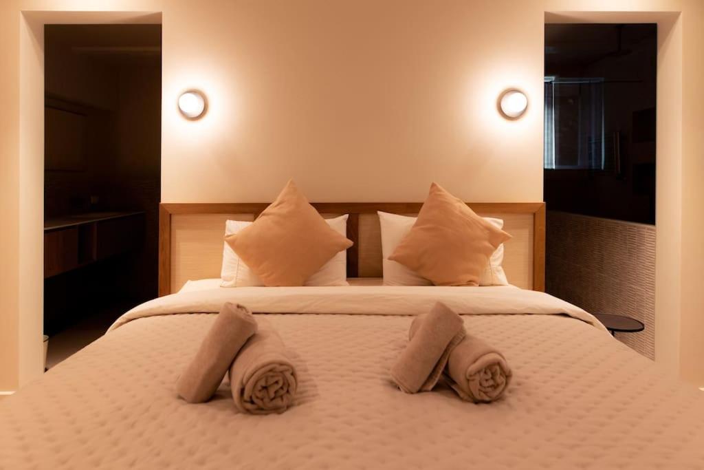 Newly renovated luxurious 200 SQM loft in city centre