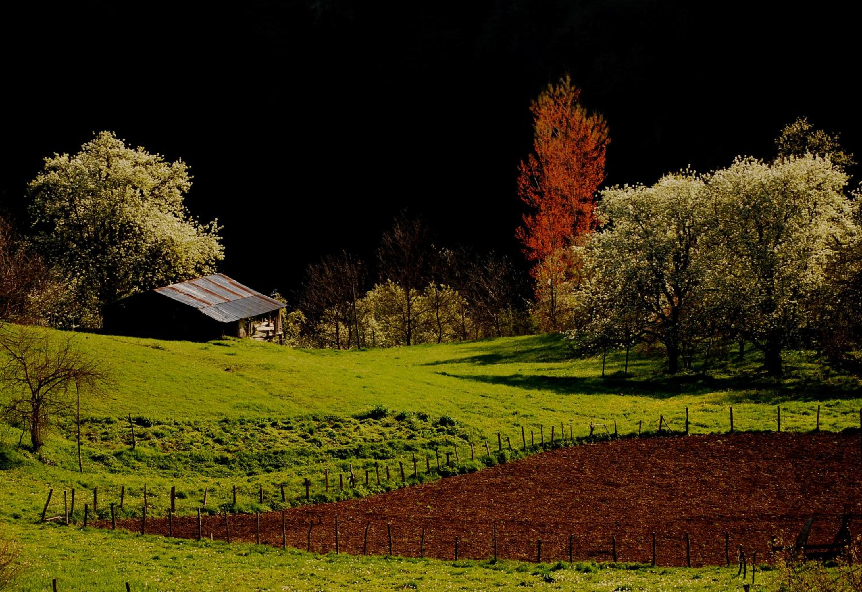 Süllü Dağ Evi