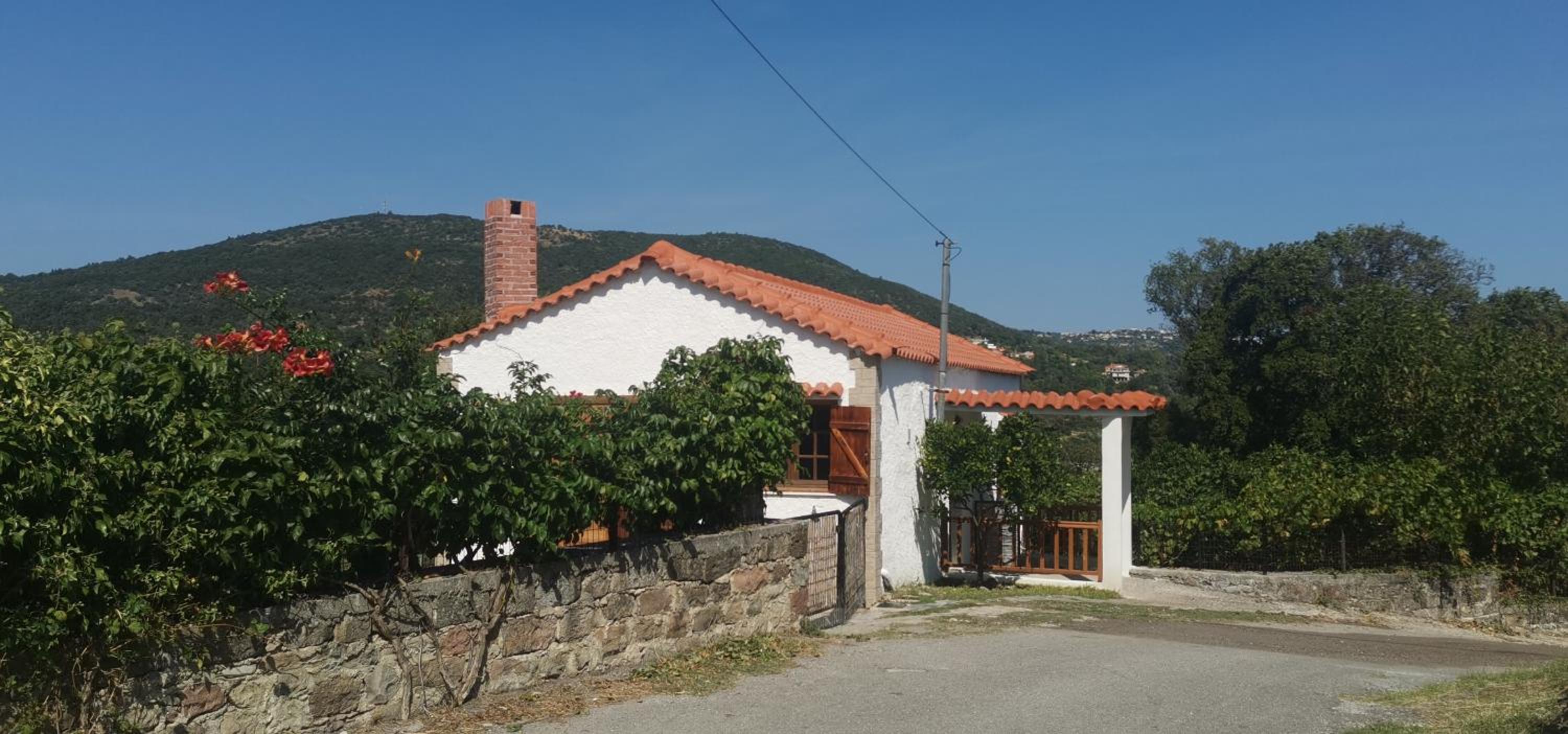 Antoneiko house