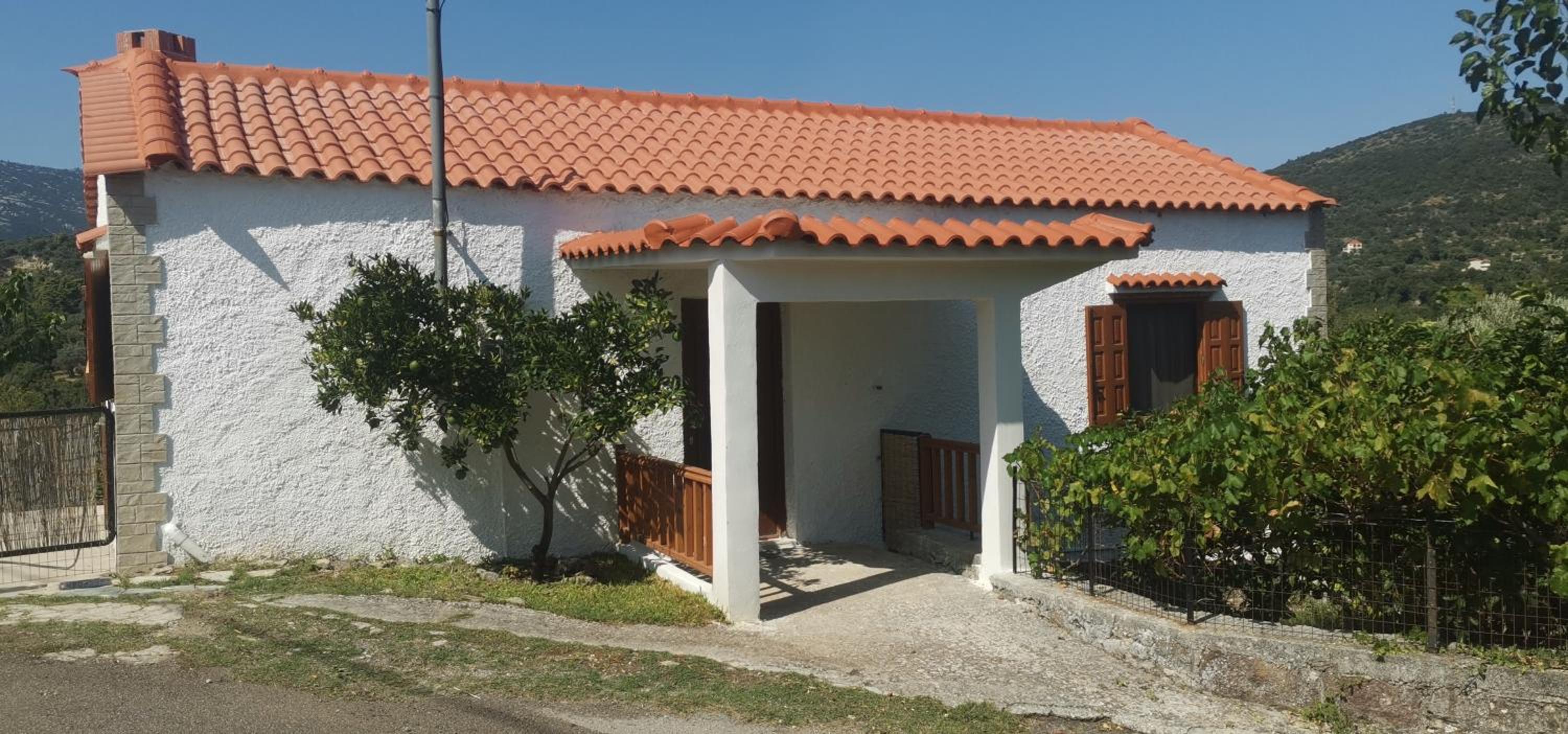 Antoneiko house