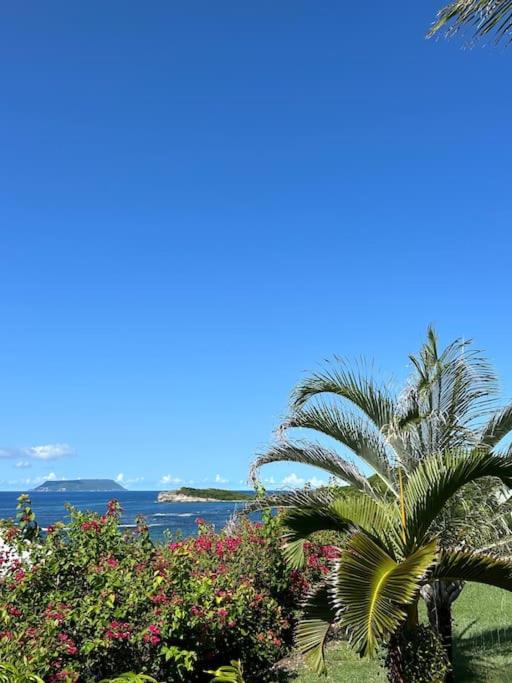 Villa 14 à iguana bay face à la mer et piscine privée view 3