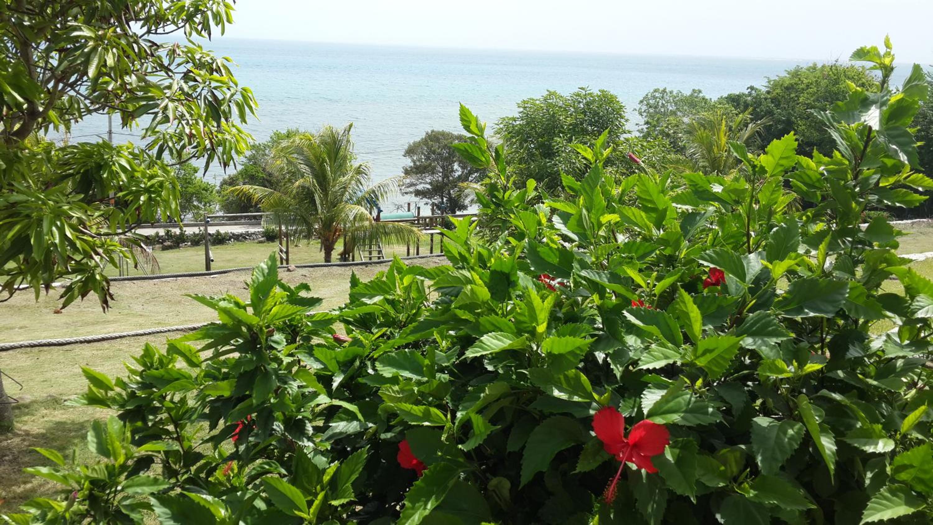 Maracaibo View