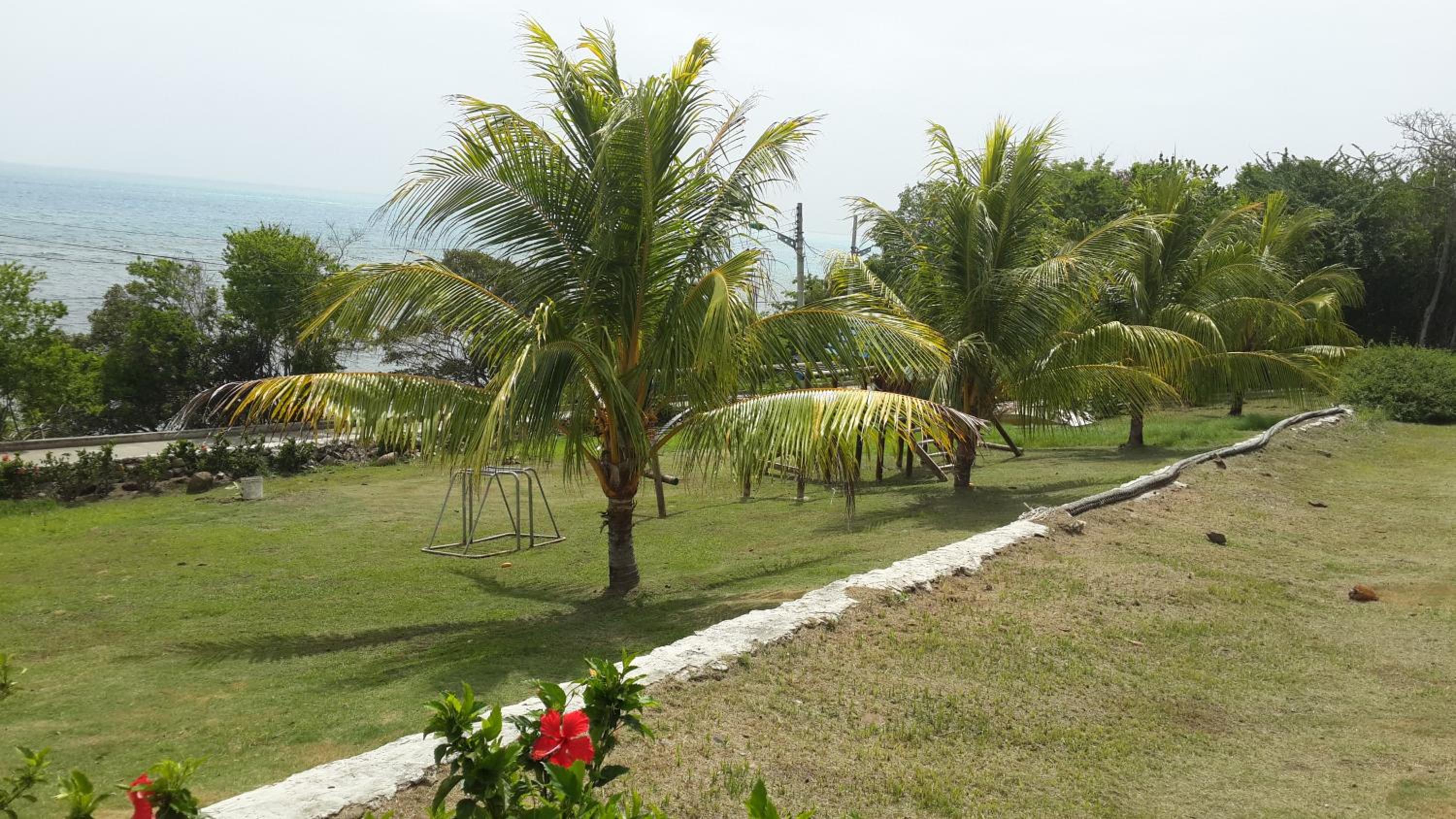 Maracaibo View