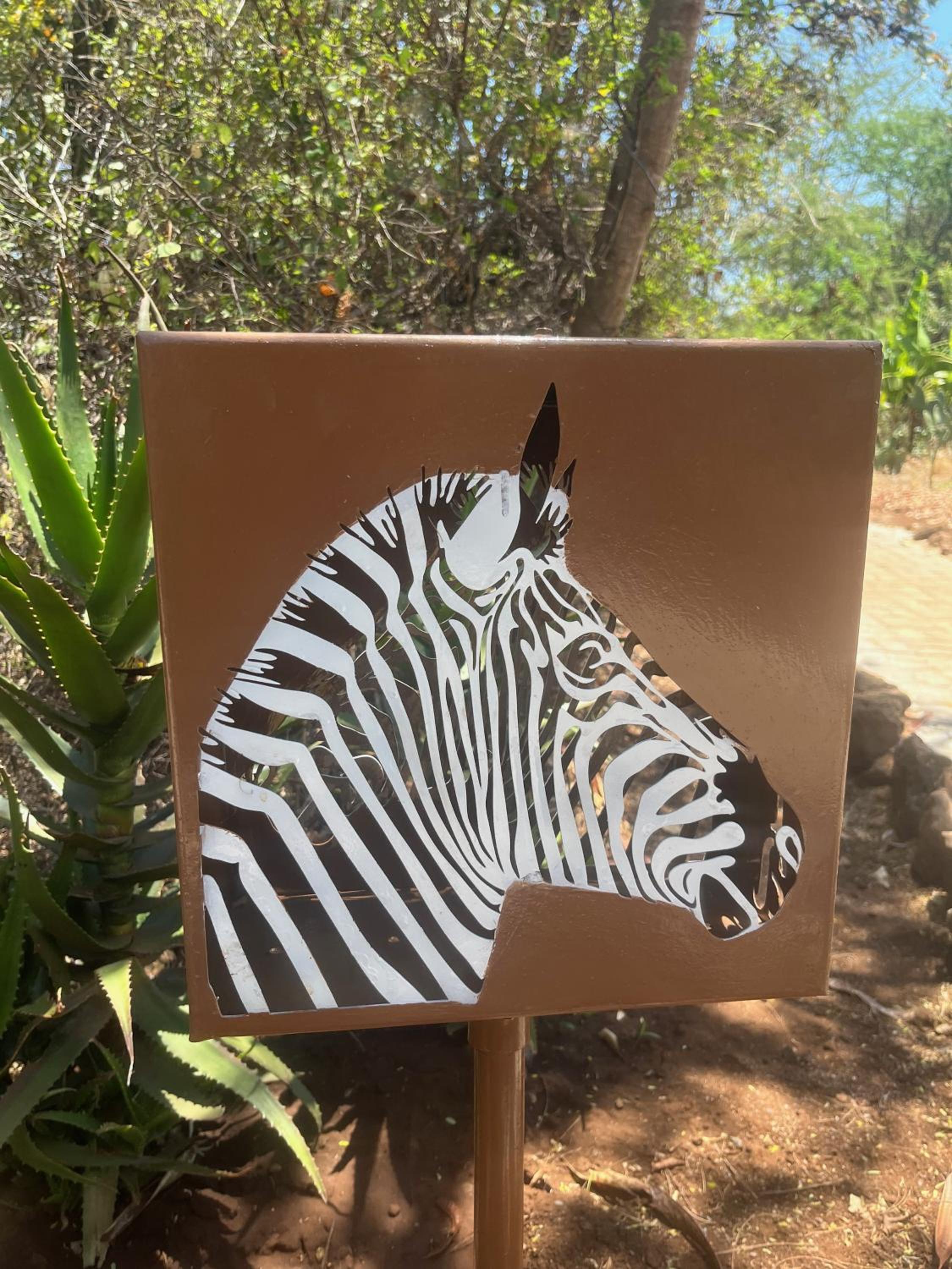 Ikweta Safari Camp
