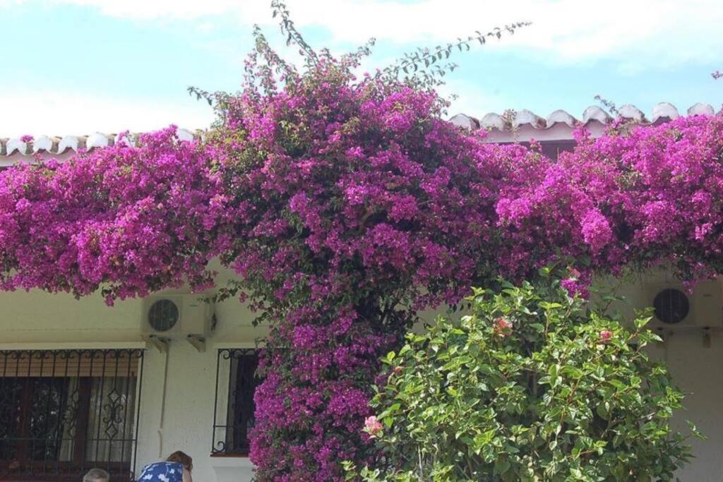 Marbella large rustic family villa to rent