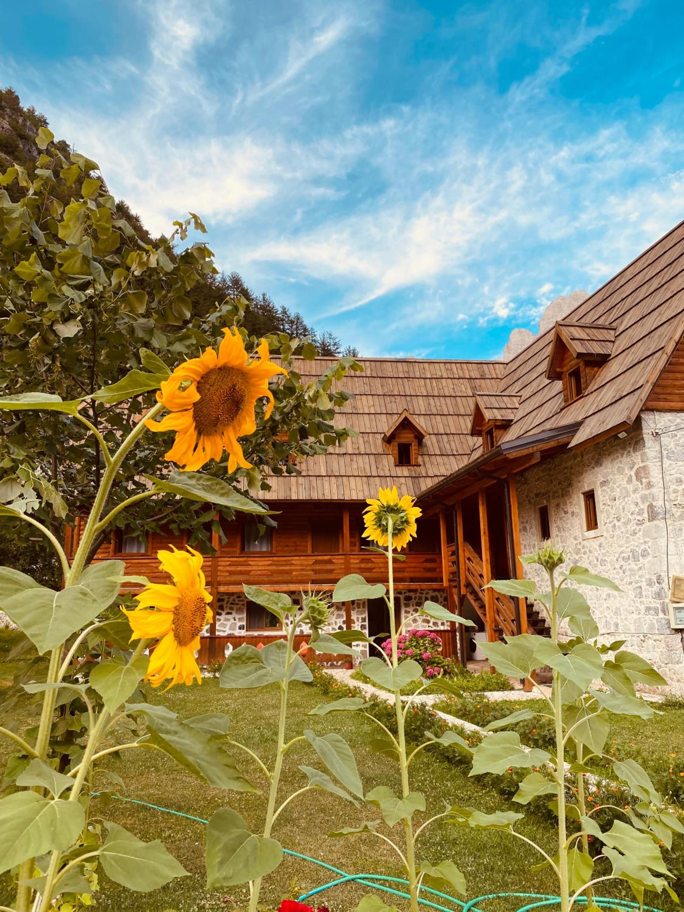 Guesthouse Prrockaj Theth