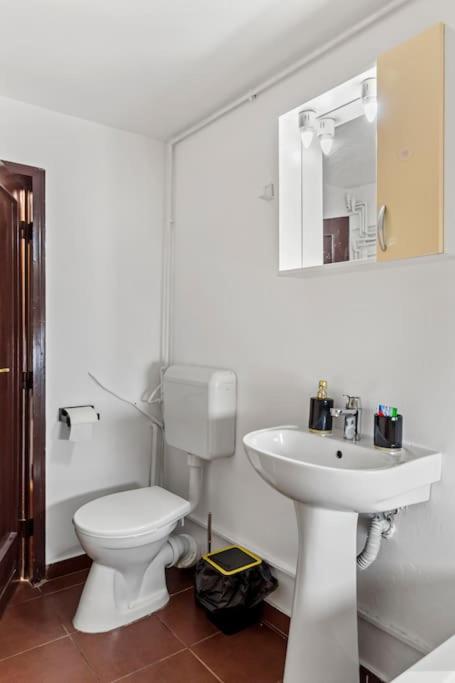 Apartament modern și confortabil Ciuismig Park - AP5 view 3