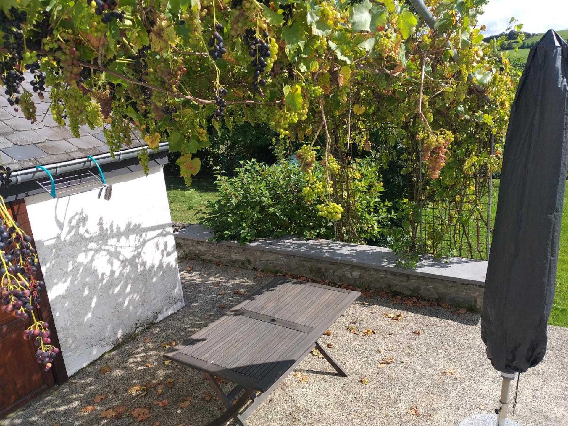 Gîte l'Ecole de ma Mère
