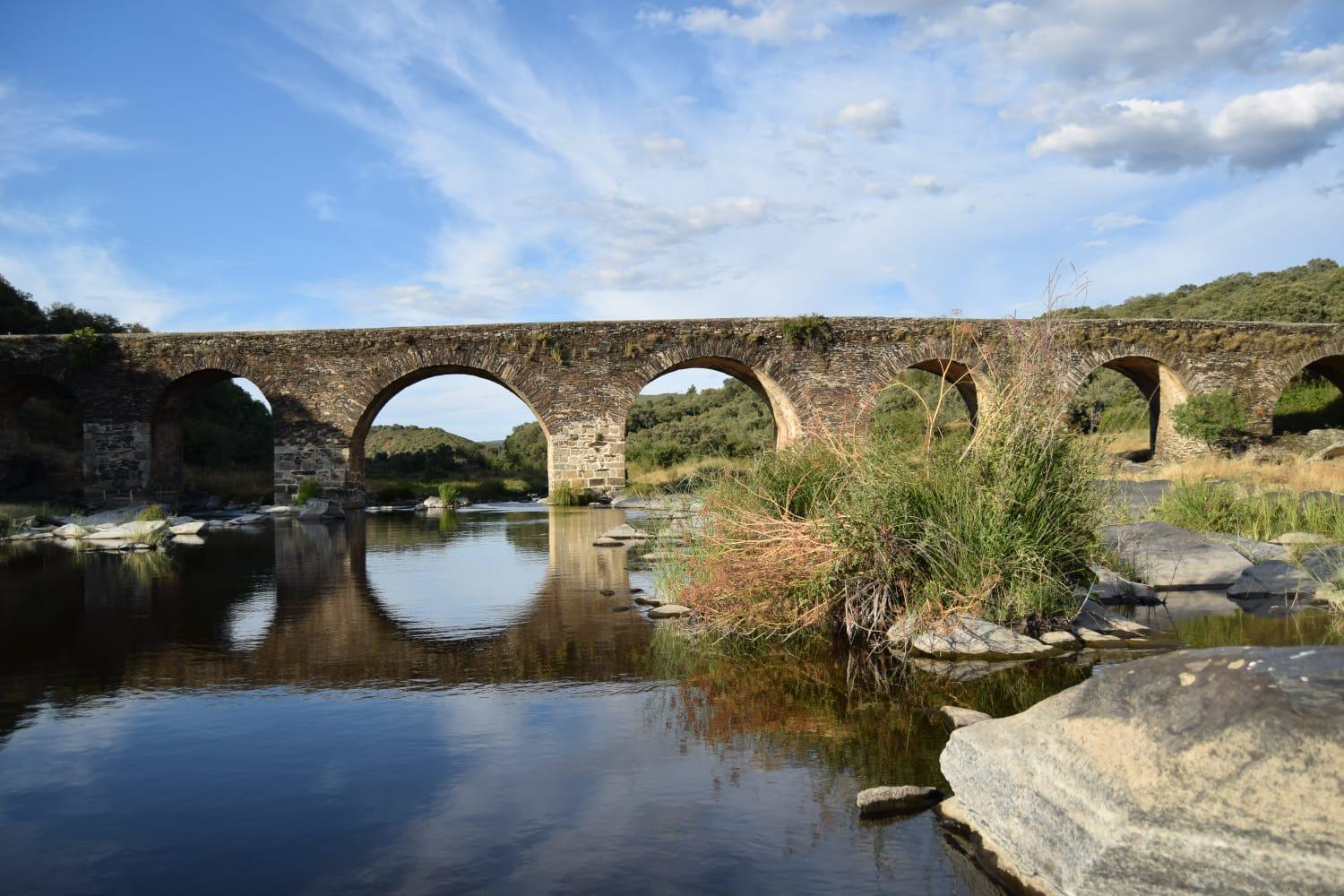 Bungalows, Camping Vega de Francia