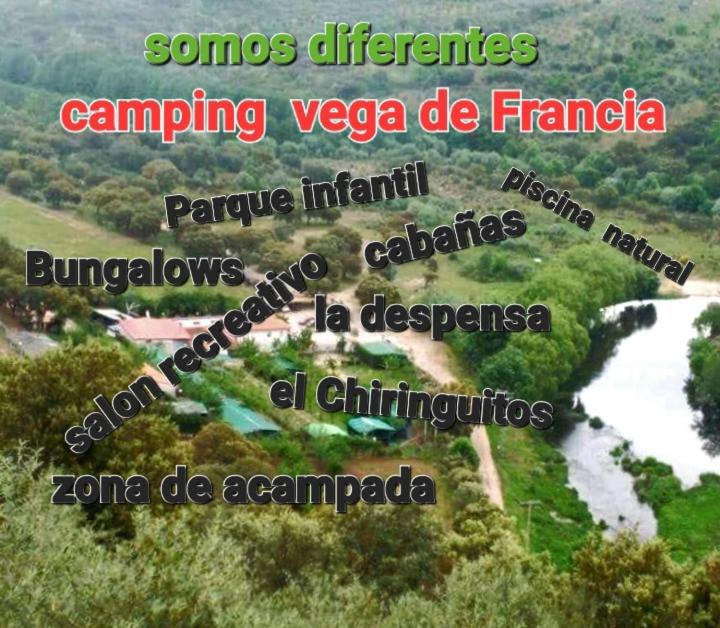 Bungalows, Camping Vega de Francia
